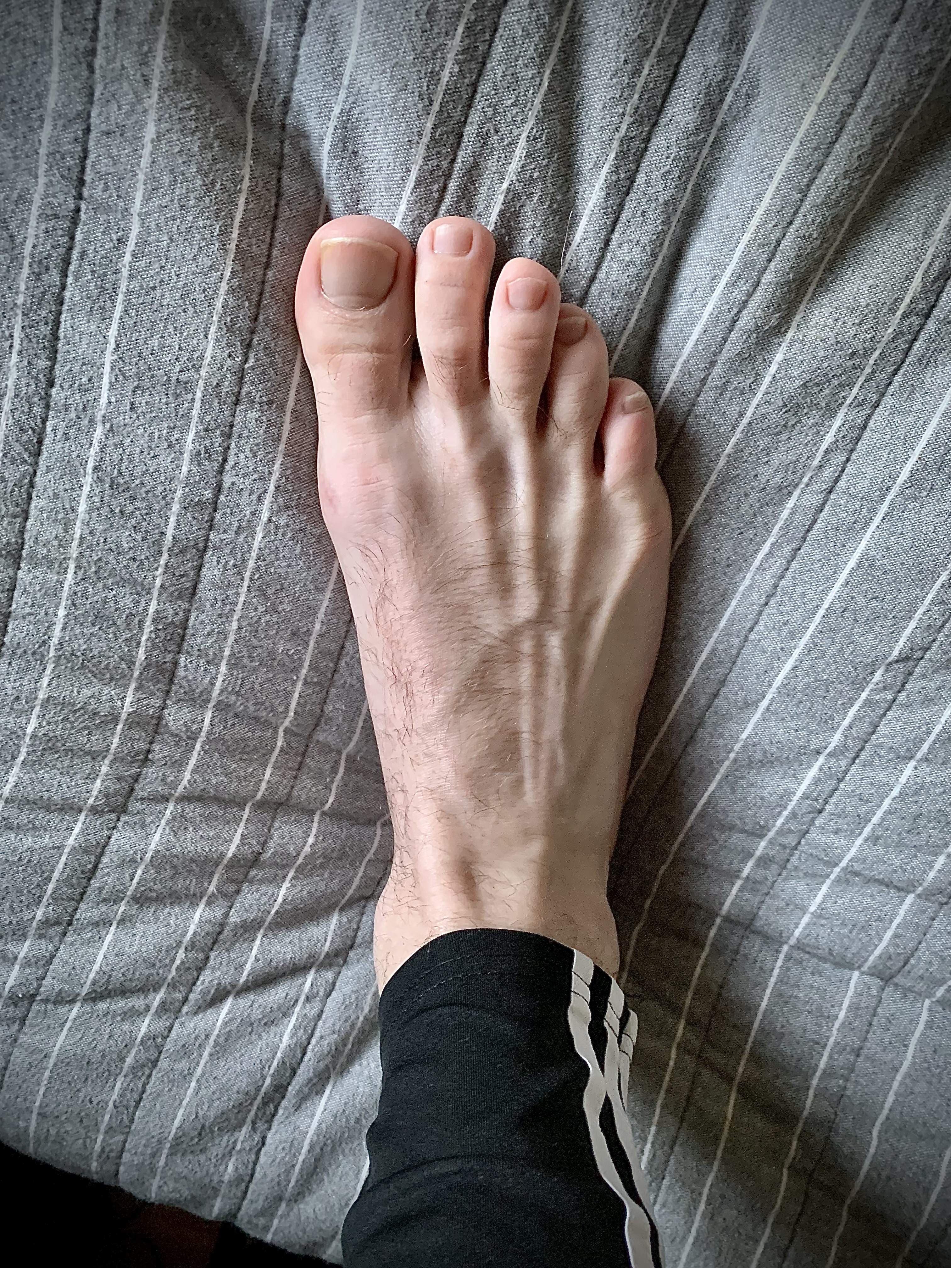 Sox’NJox31313