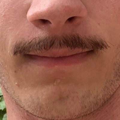 Bad Brad