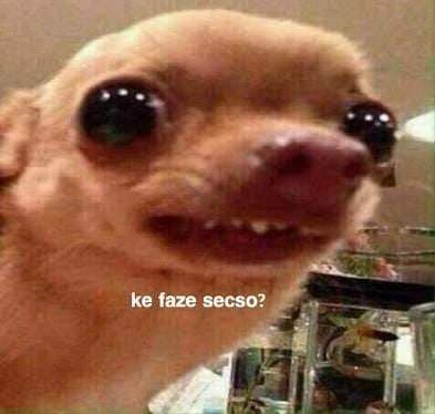 Piguelito_Miriquito