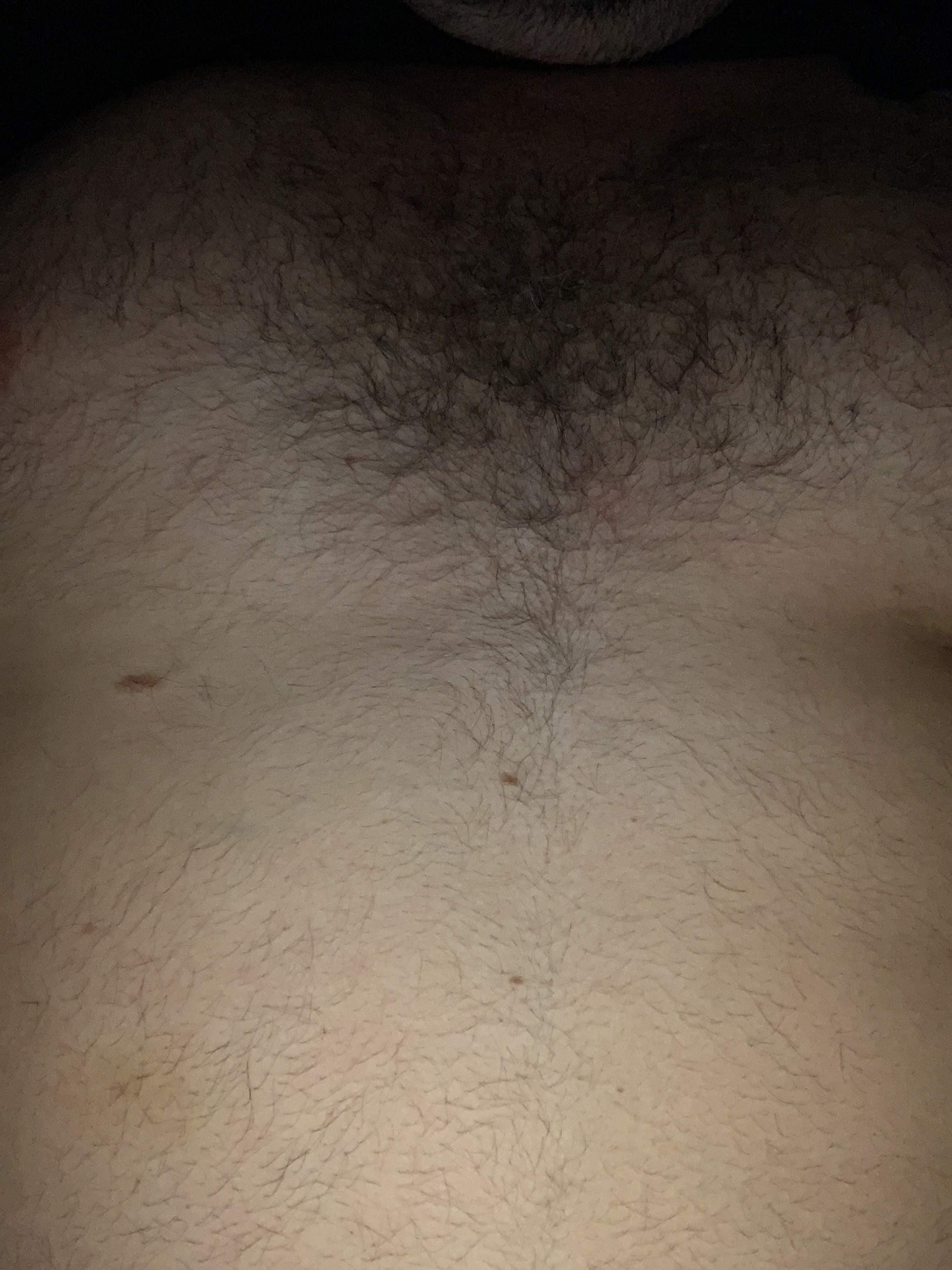 Vers bear