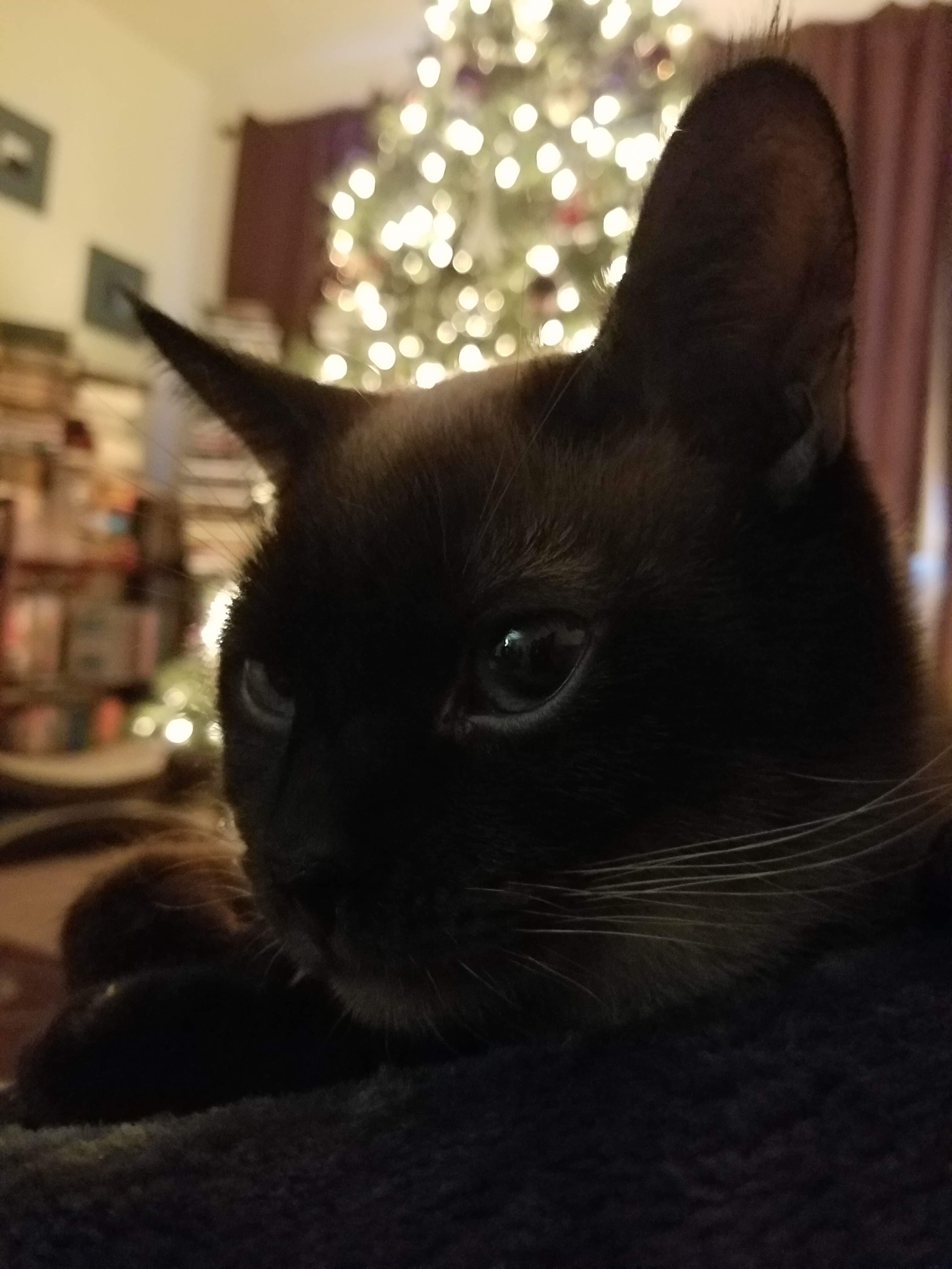 Sir Frederick