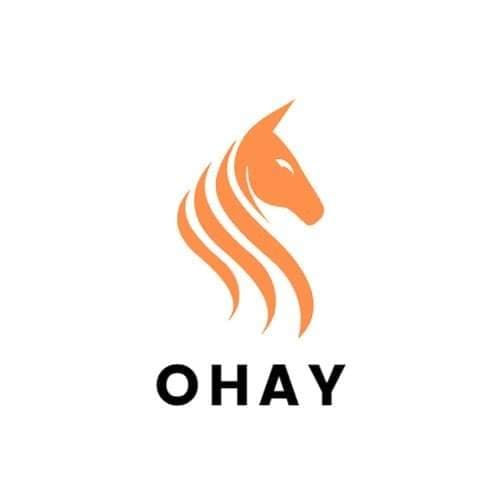 Ngon Ô Hay