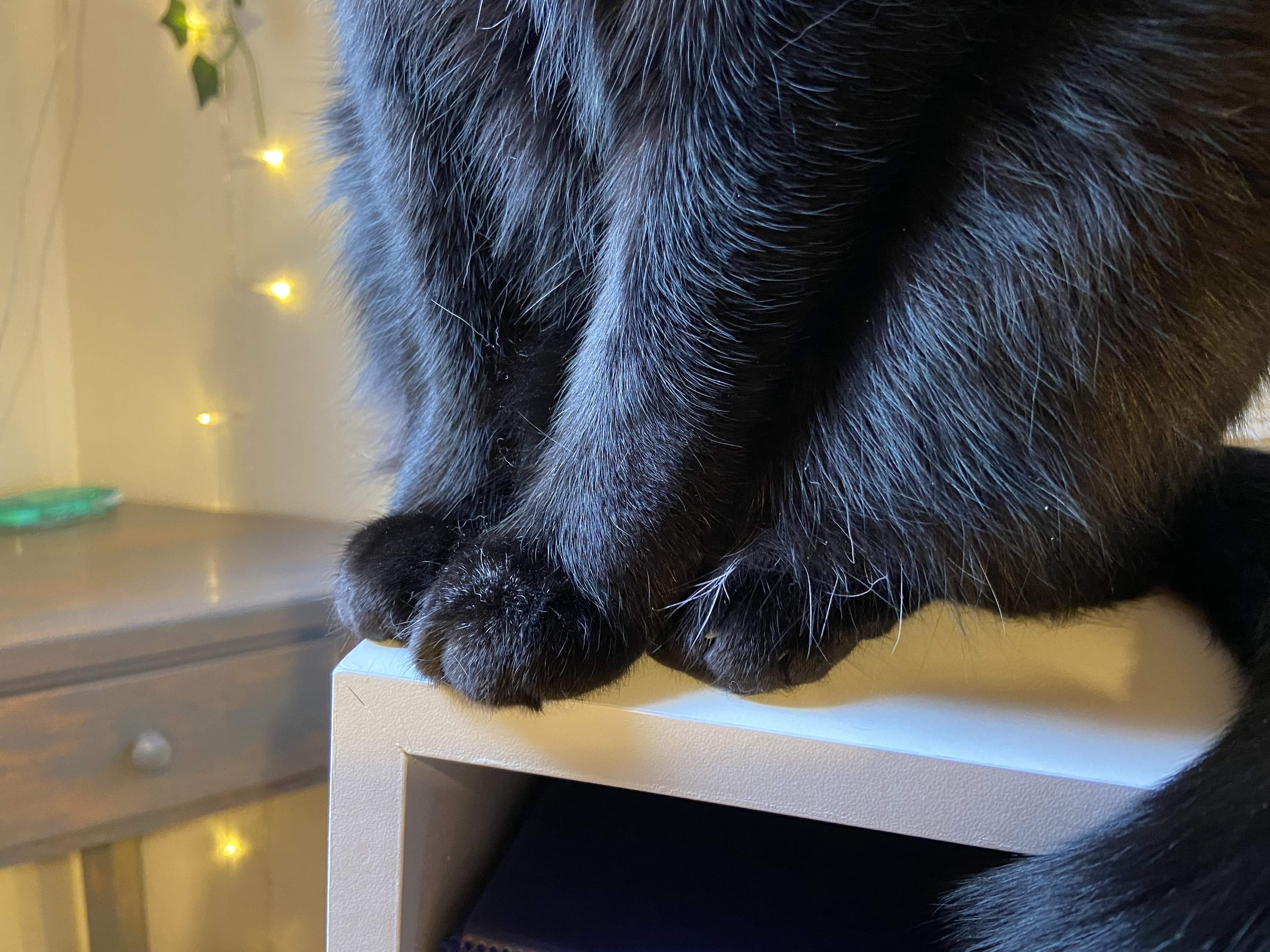 It’s just toe beans