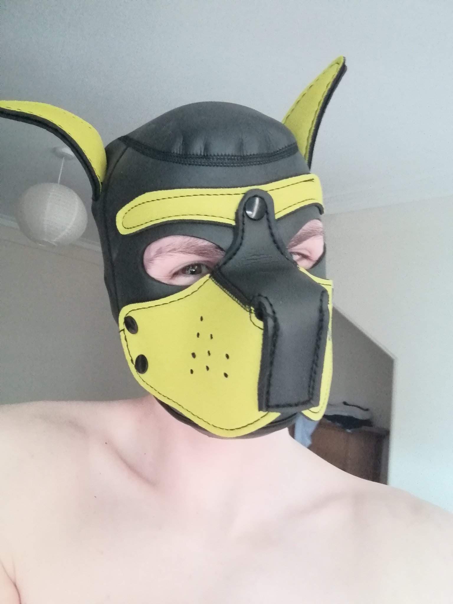 PupNoobie