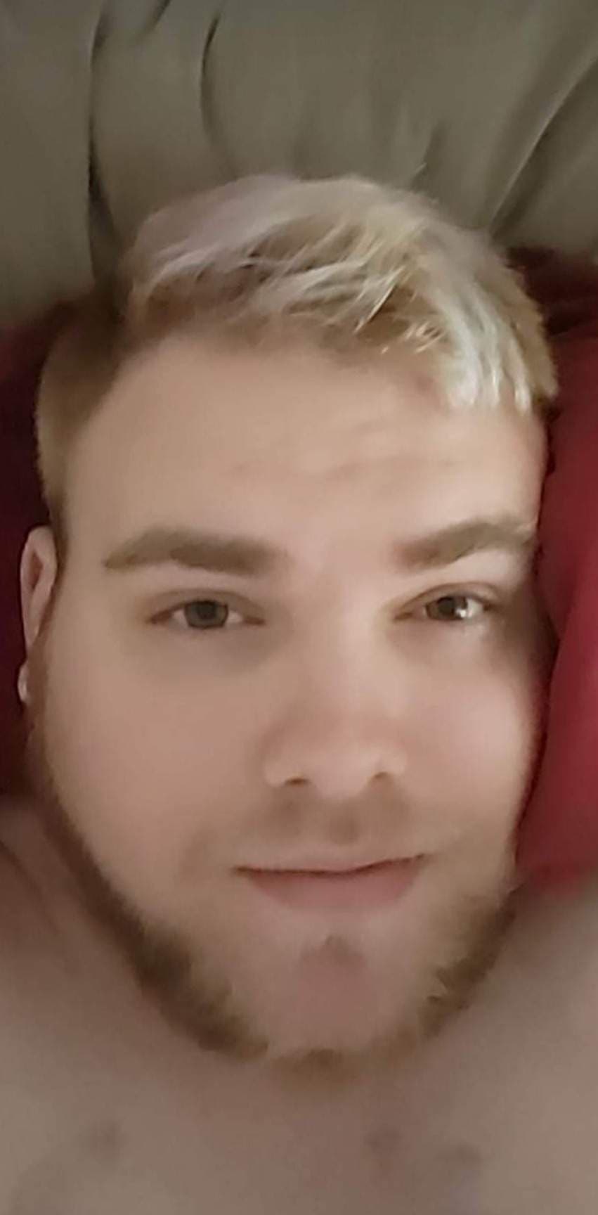 PigBearOddly