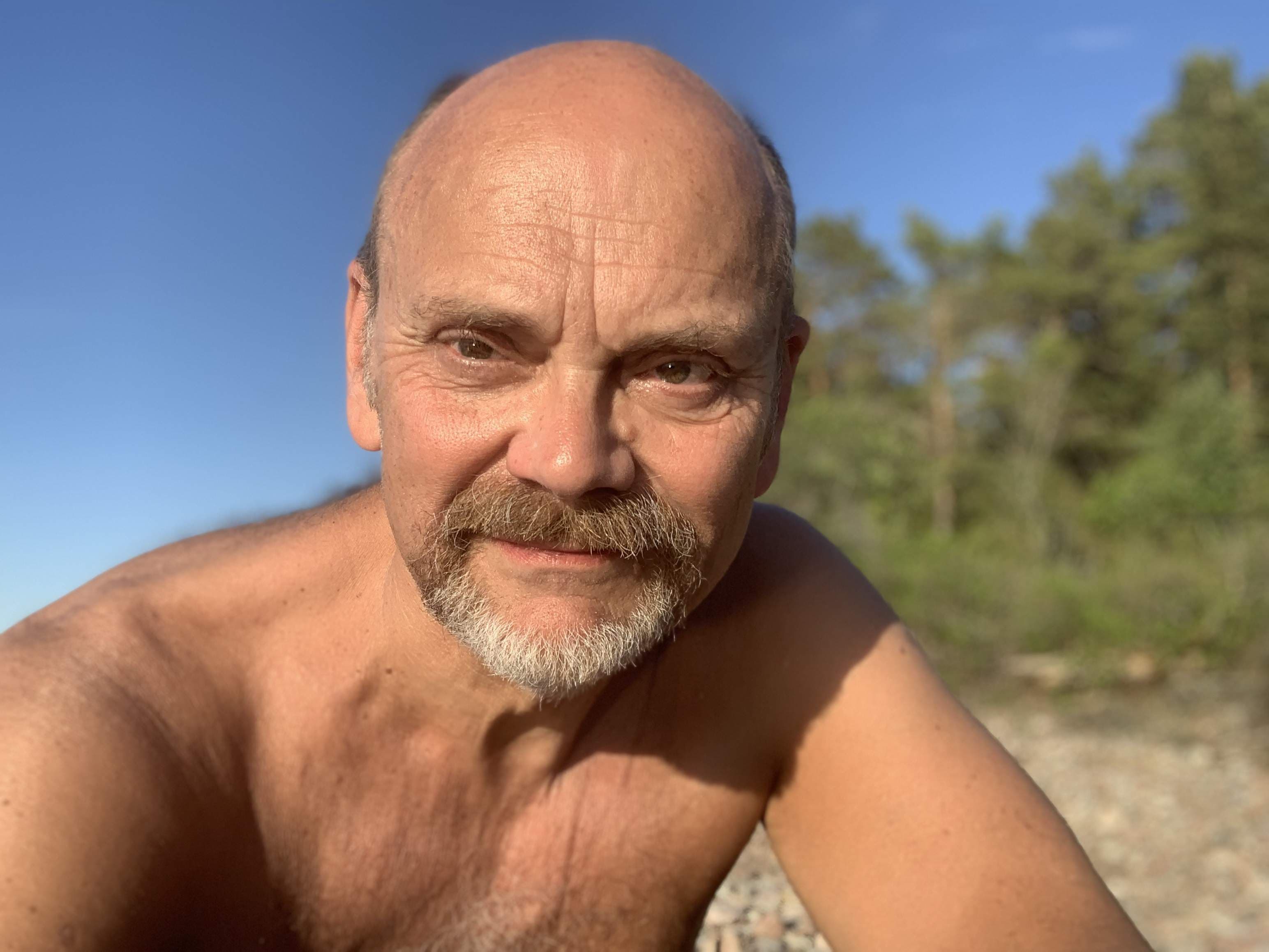 Andrew Forest