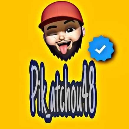 pik_atchou 48