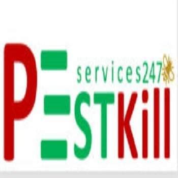 PEST KILL 247 - Công ty diệt mối giá rẻ