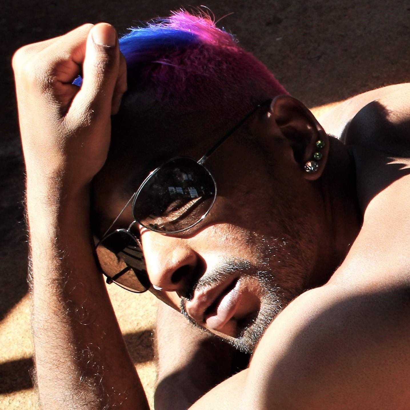 Stallion Brazilian