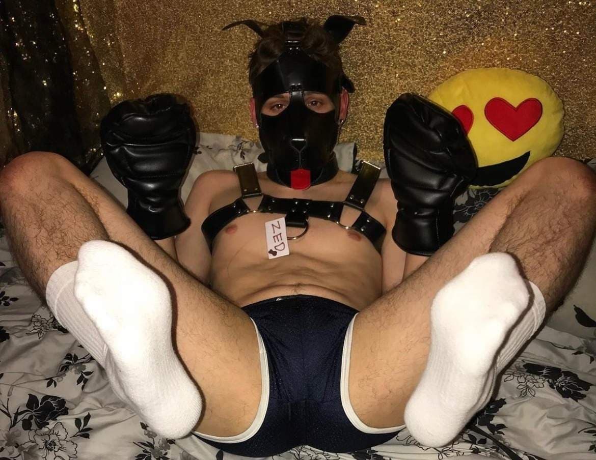 Pup Zed