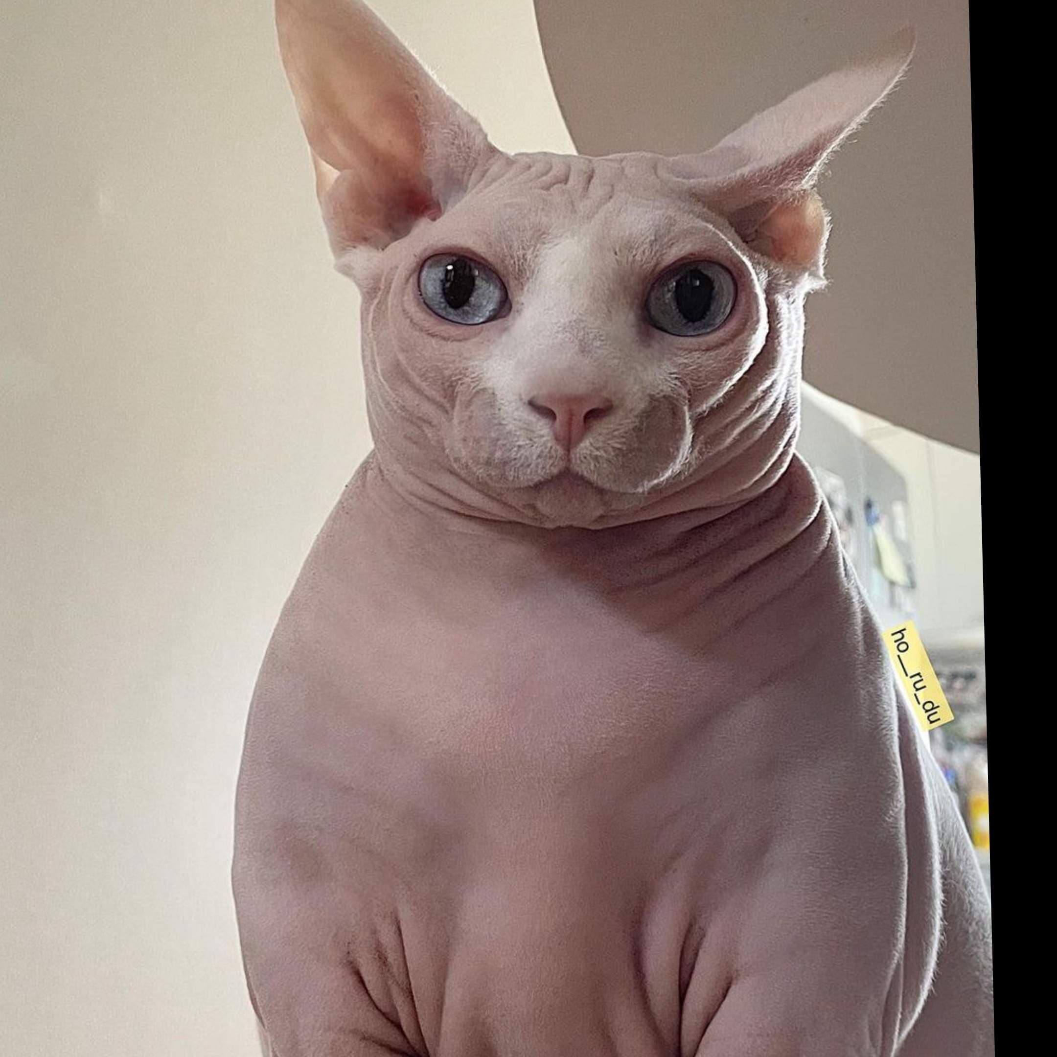 El chico de azul
