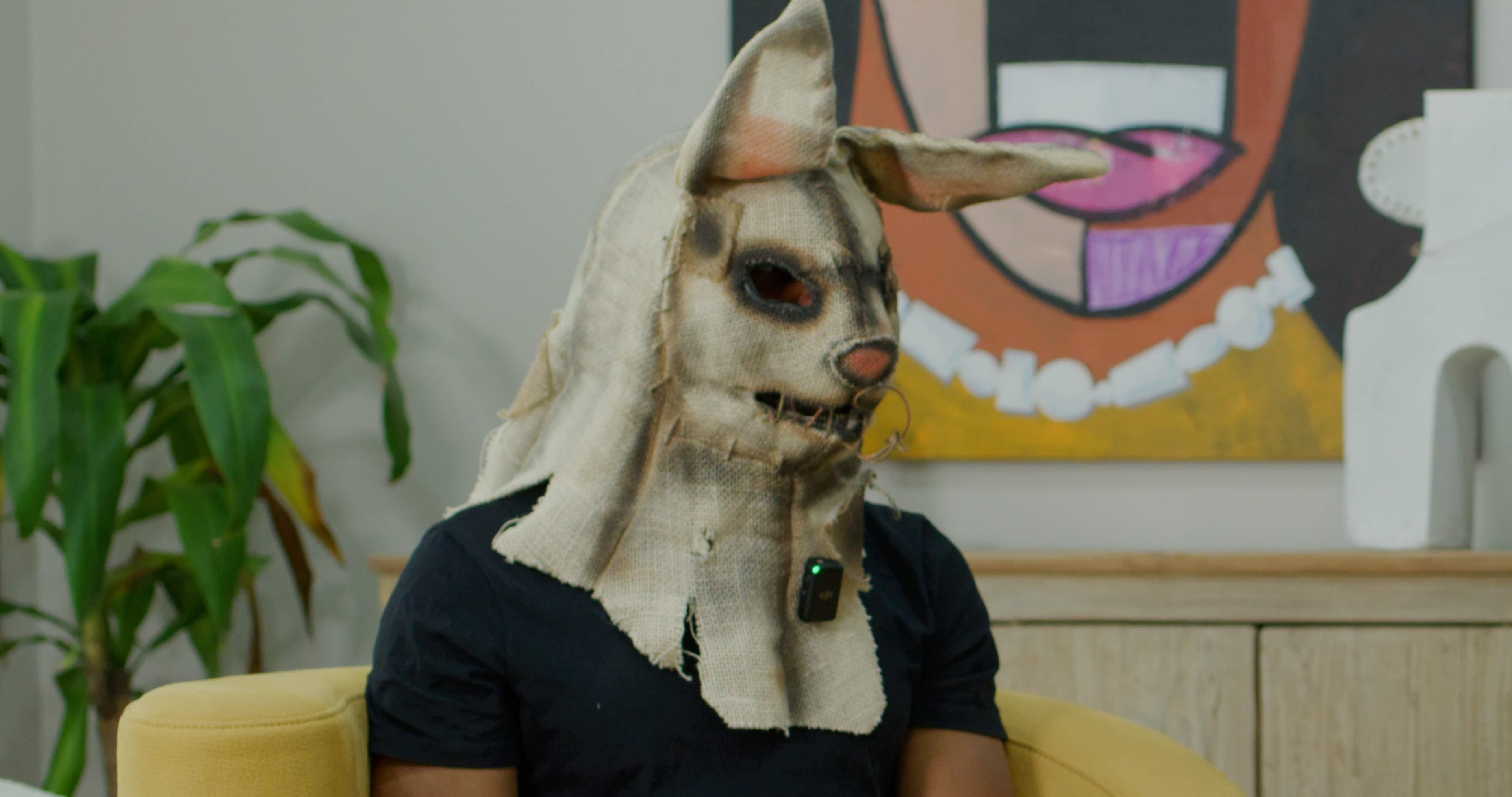 Thedirtyrabbitsx