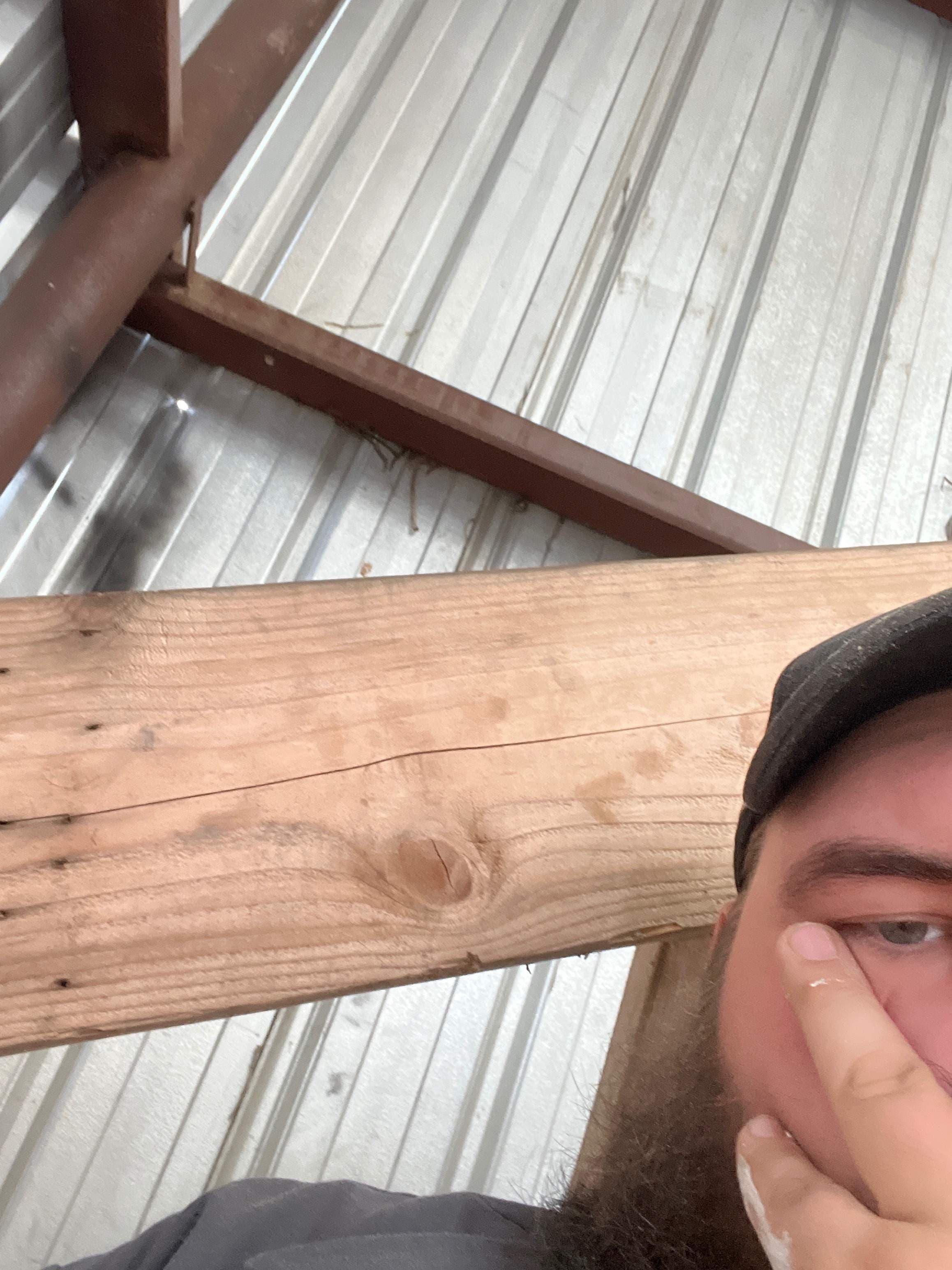 Just a big guy