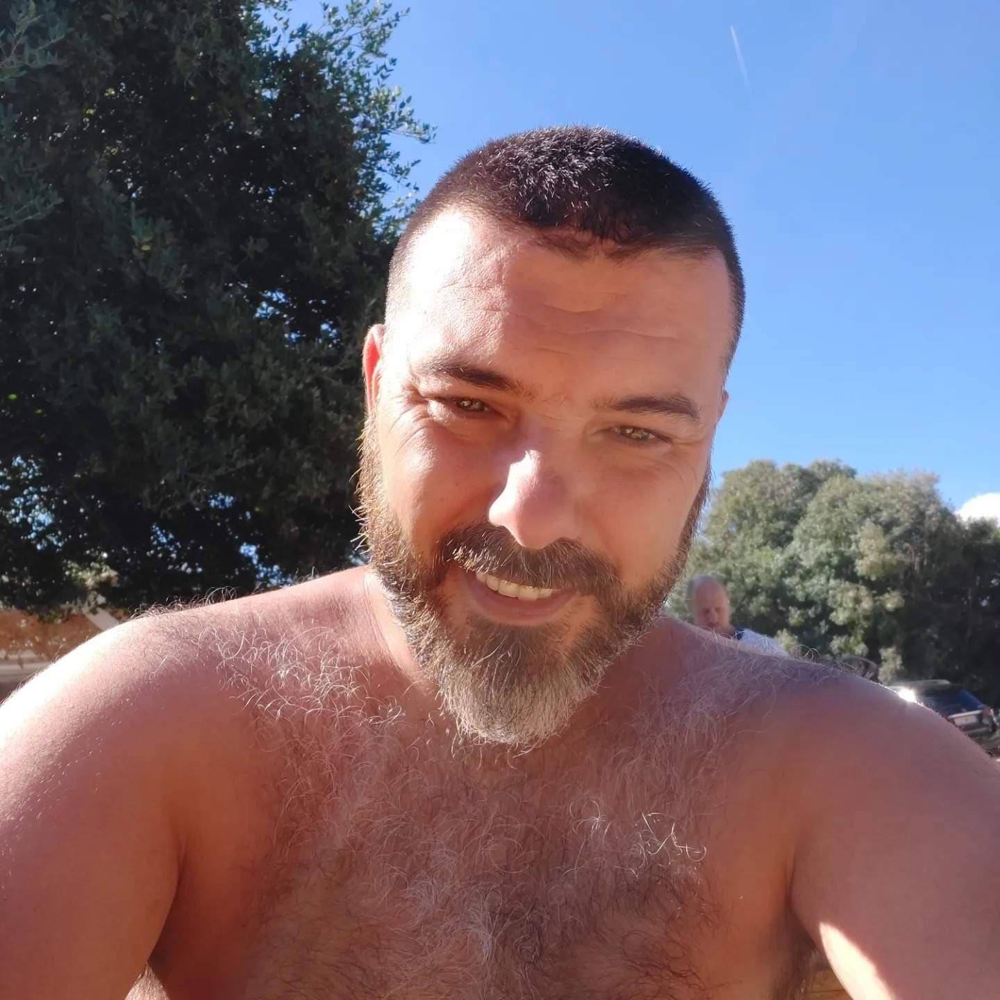 hairybear_bg