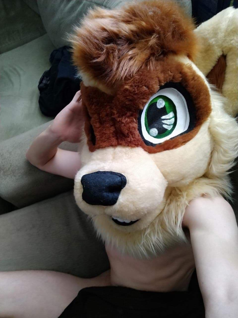 Kayle The Ferret