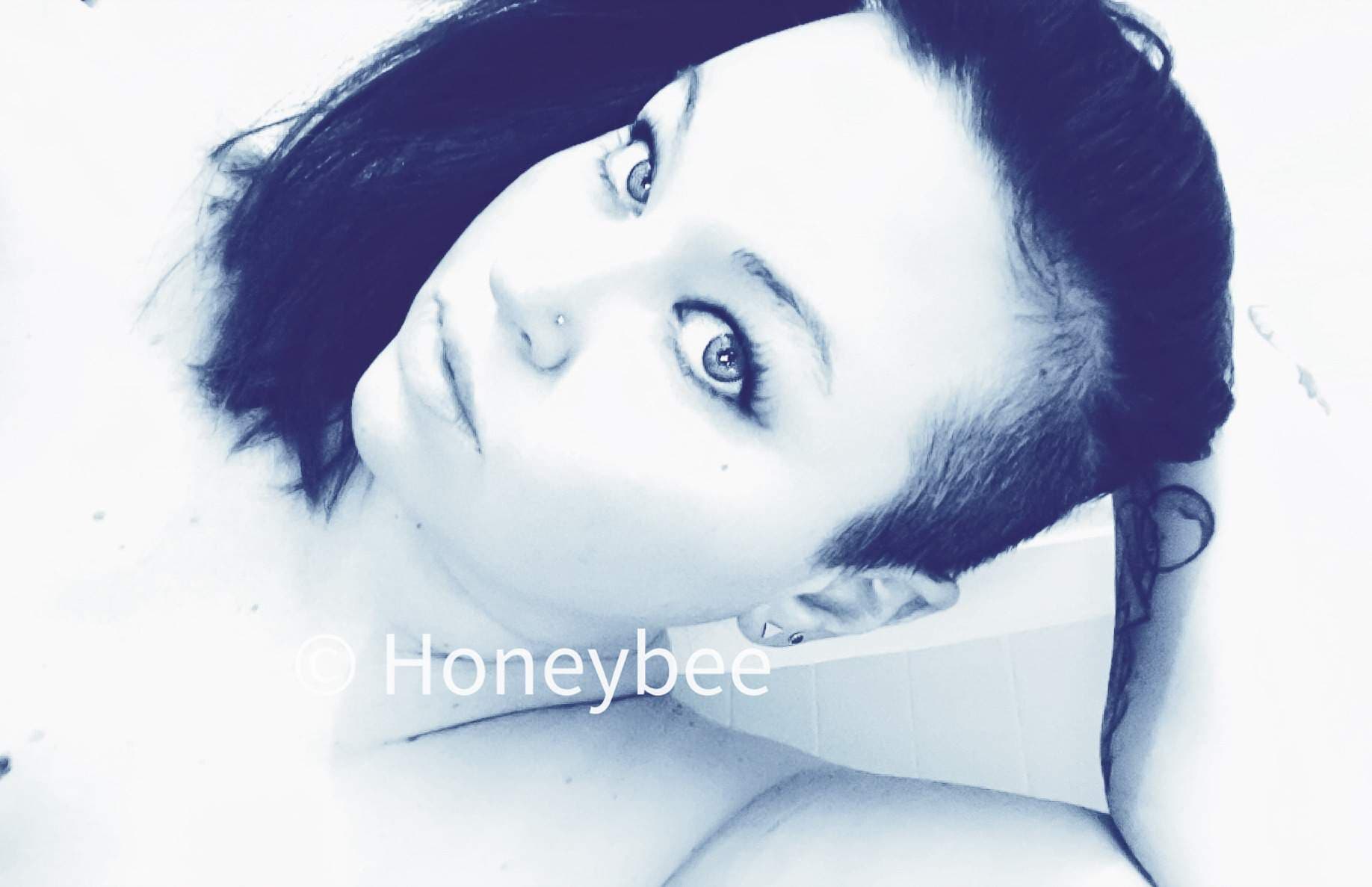 HoneyBee