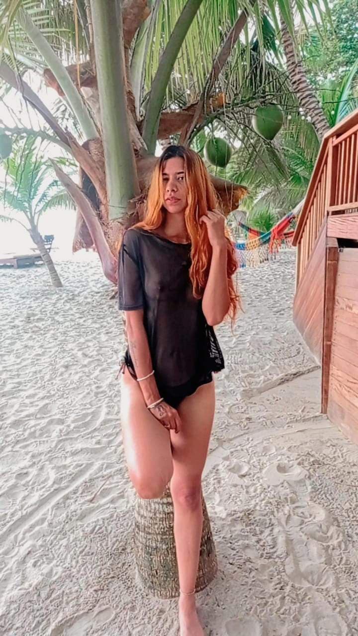 Soyjesspitto