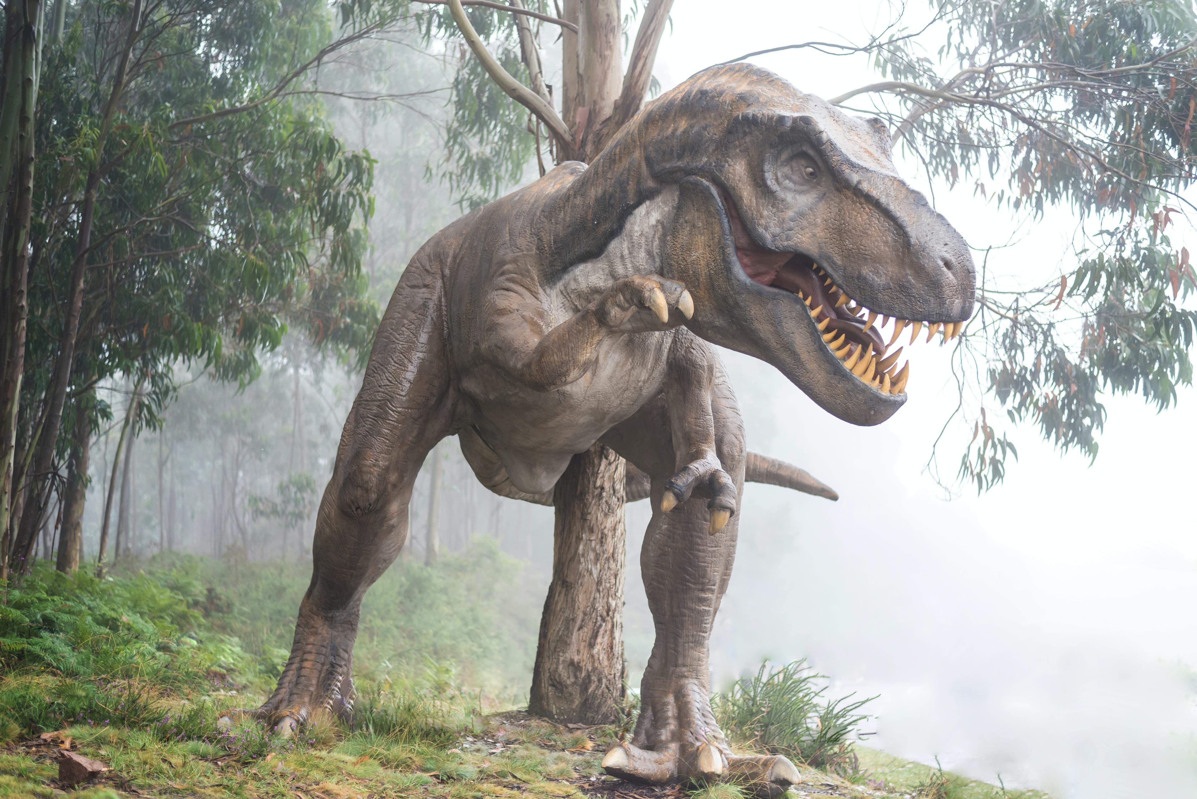 Dinosaur Facts