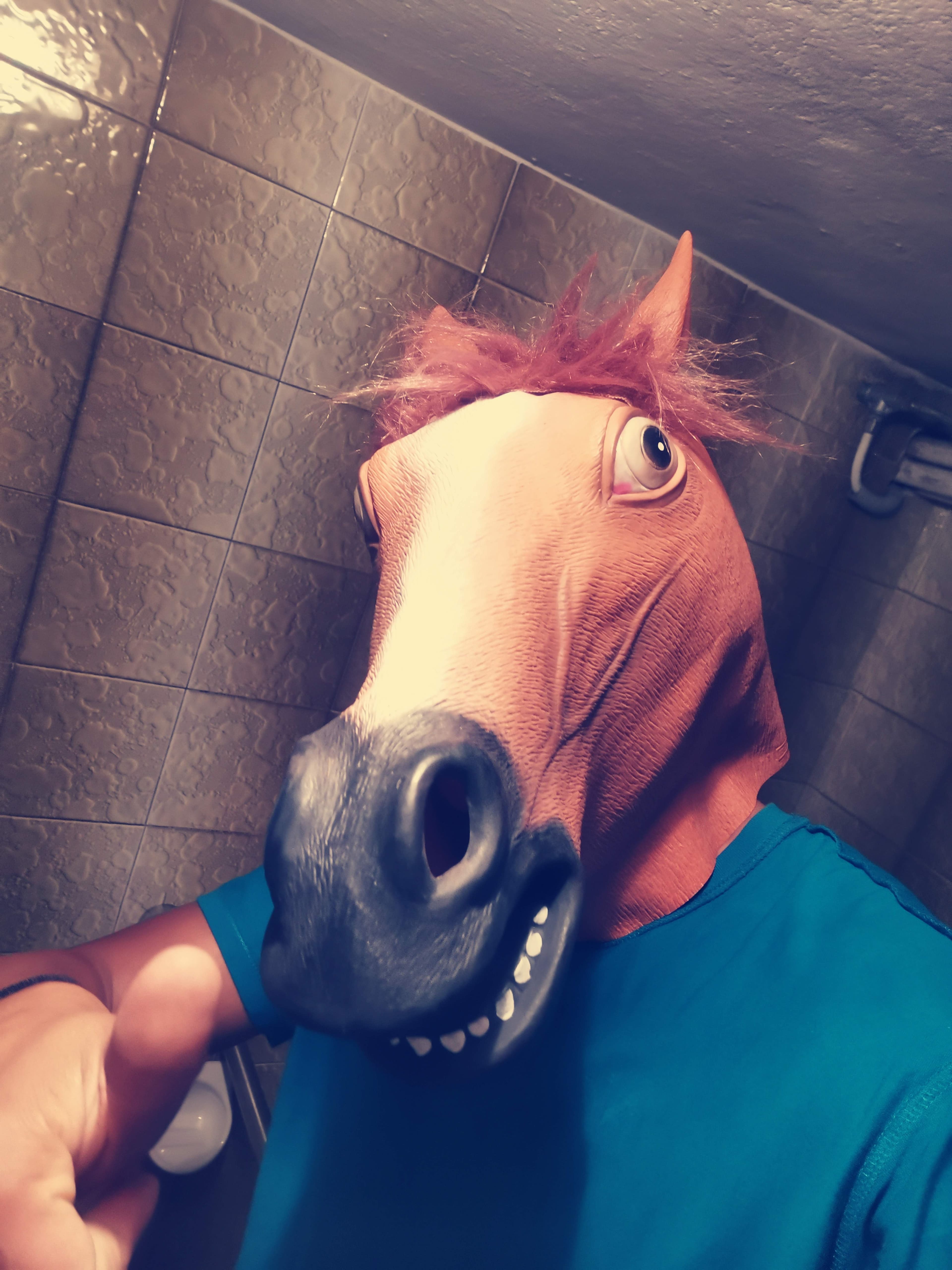 Real Horseman
