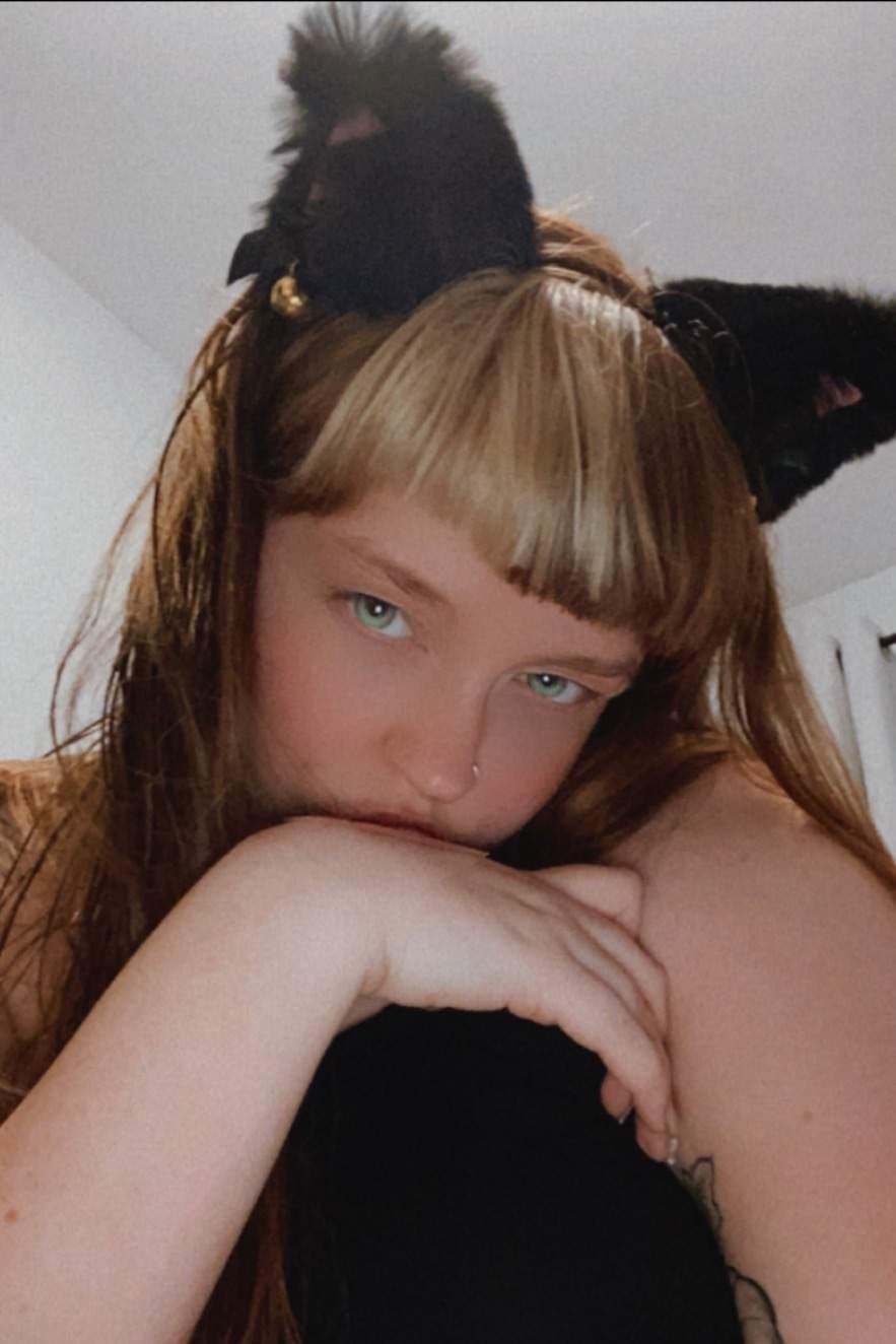 Kitten
