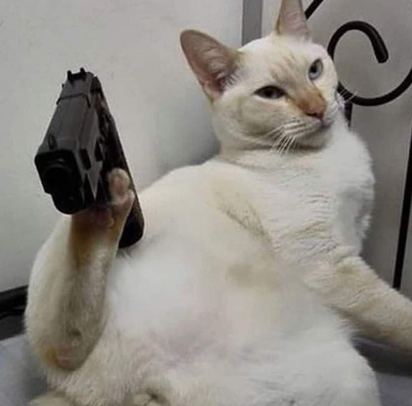 ℒ ★彡
