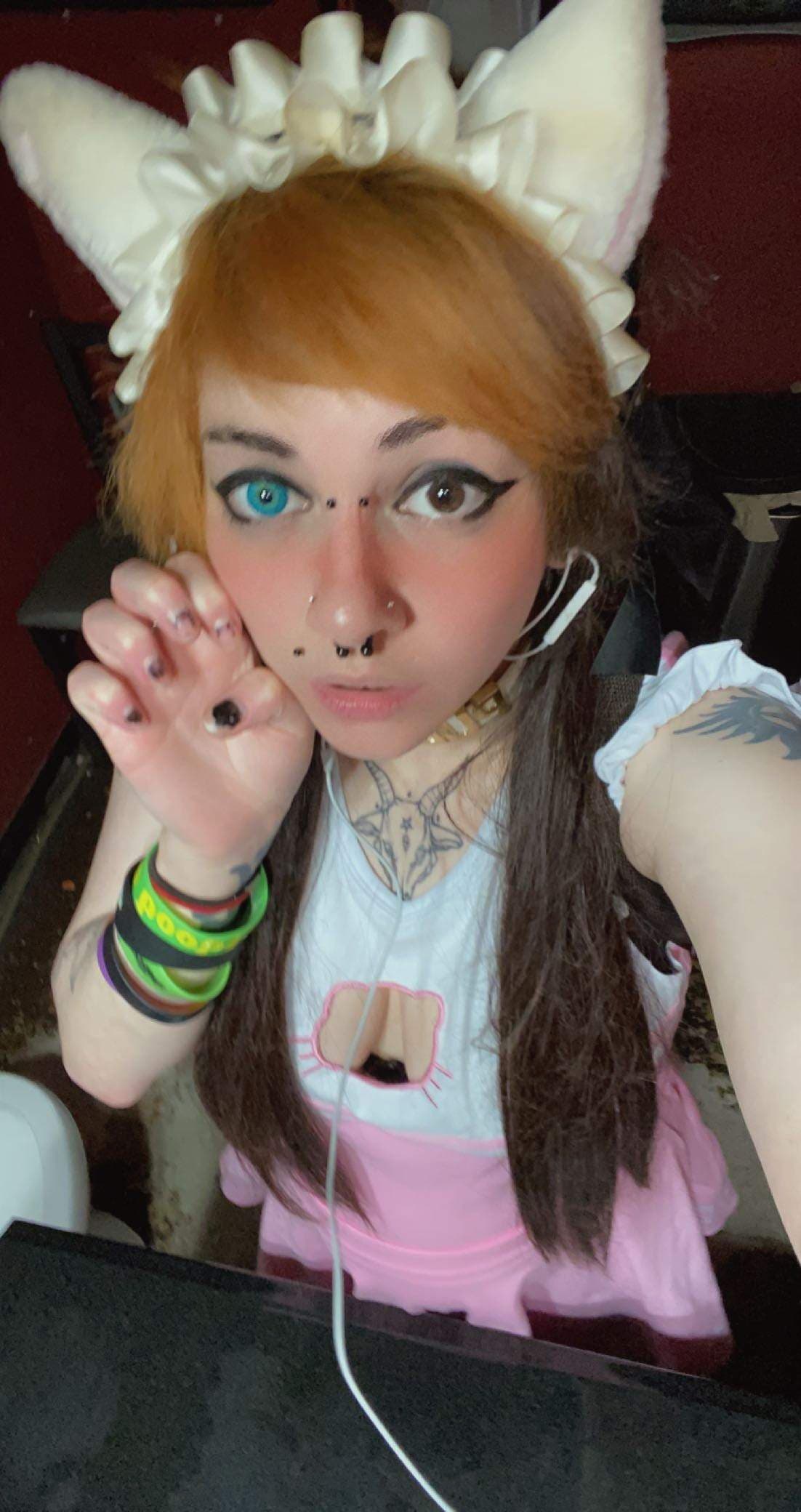 Meowlex