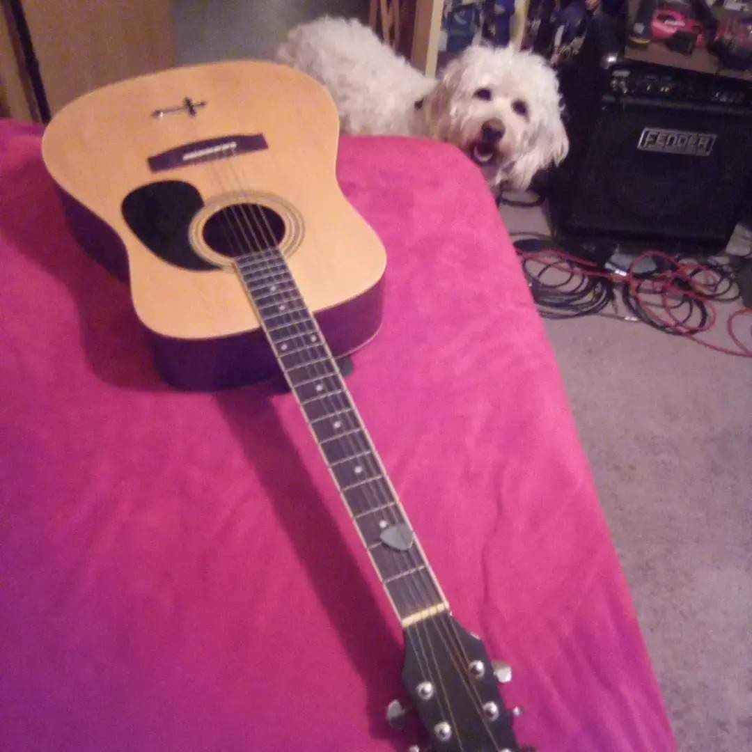 Craig Z. & Molly dog