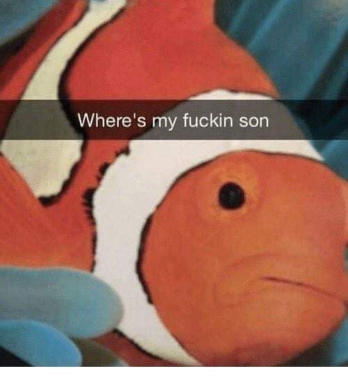 Where’s nemo