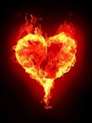 b u r n ❤️‍🔥 l i b r a r y