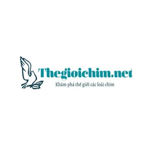 thegioichim.net