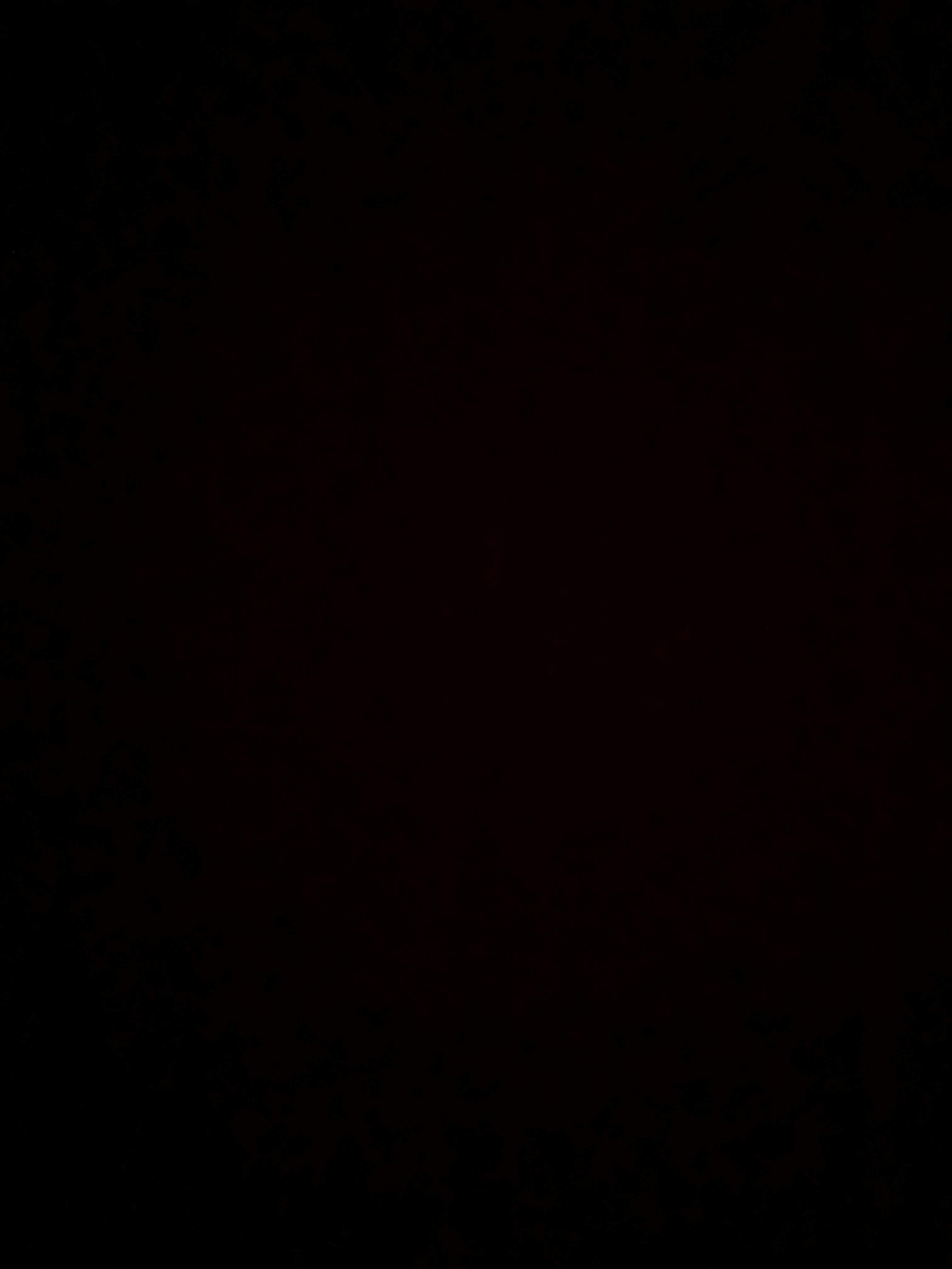 Sol