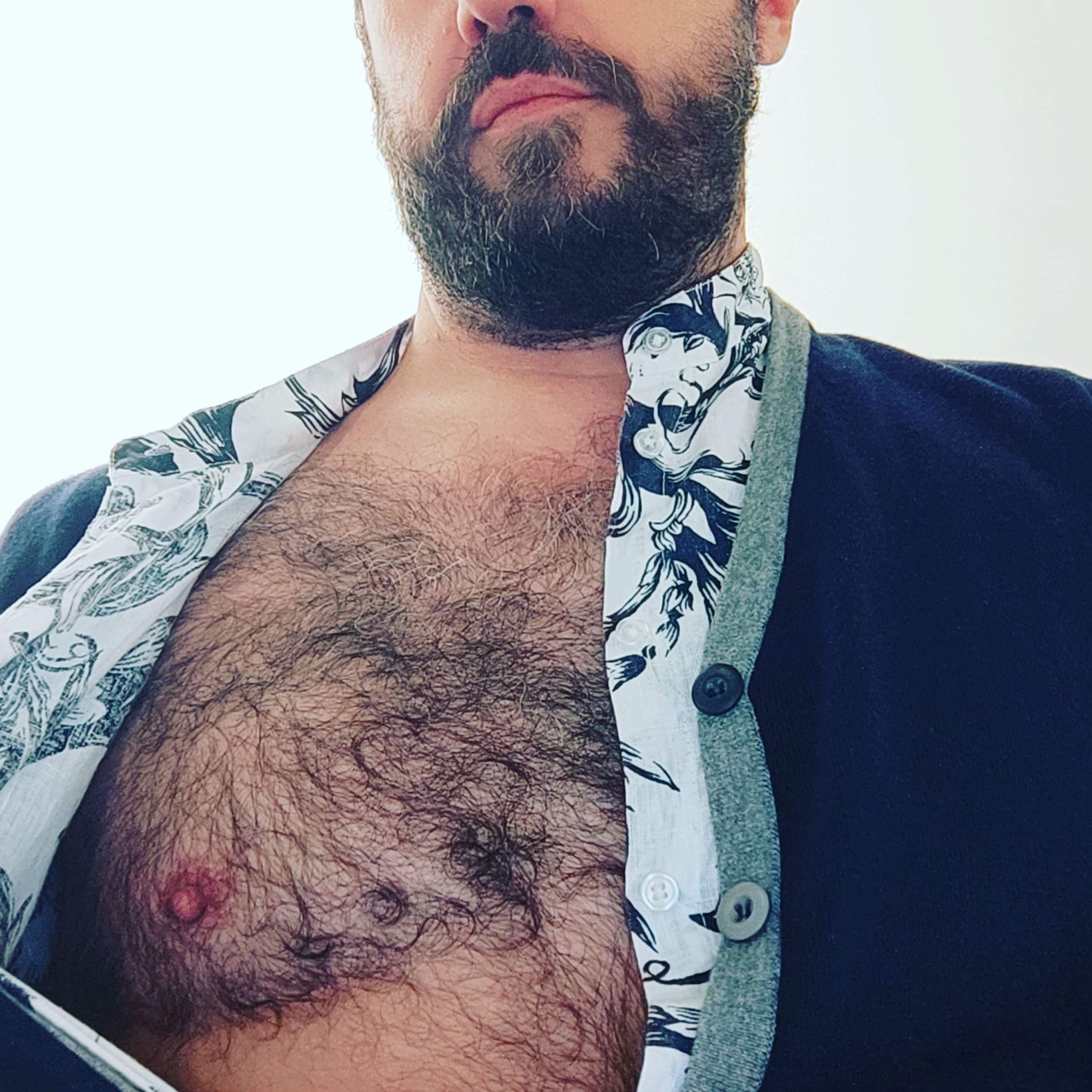 King Bear