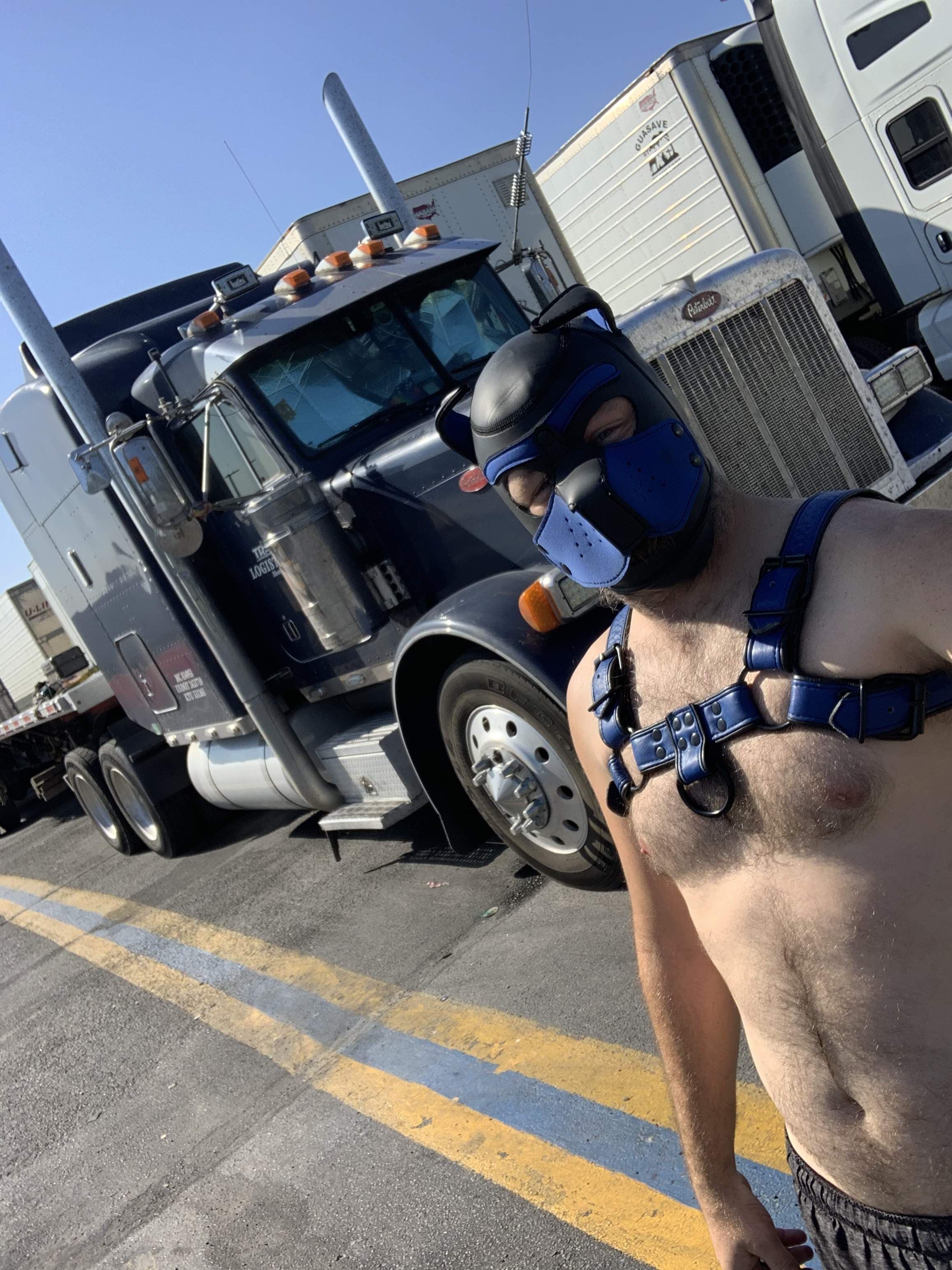 Pup CJ