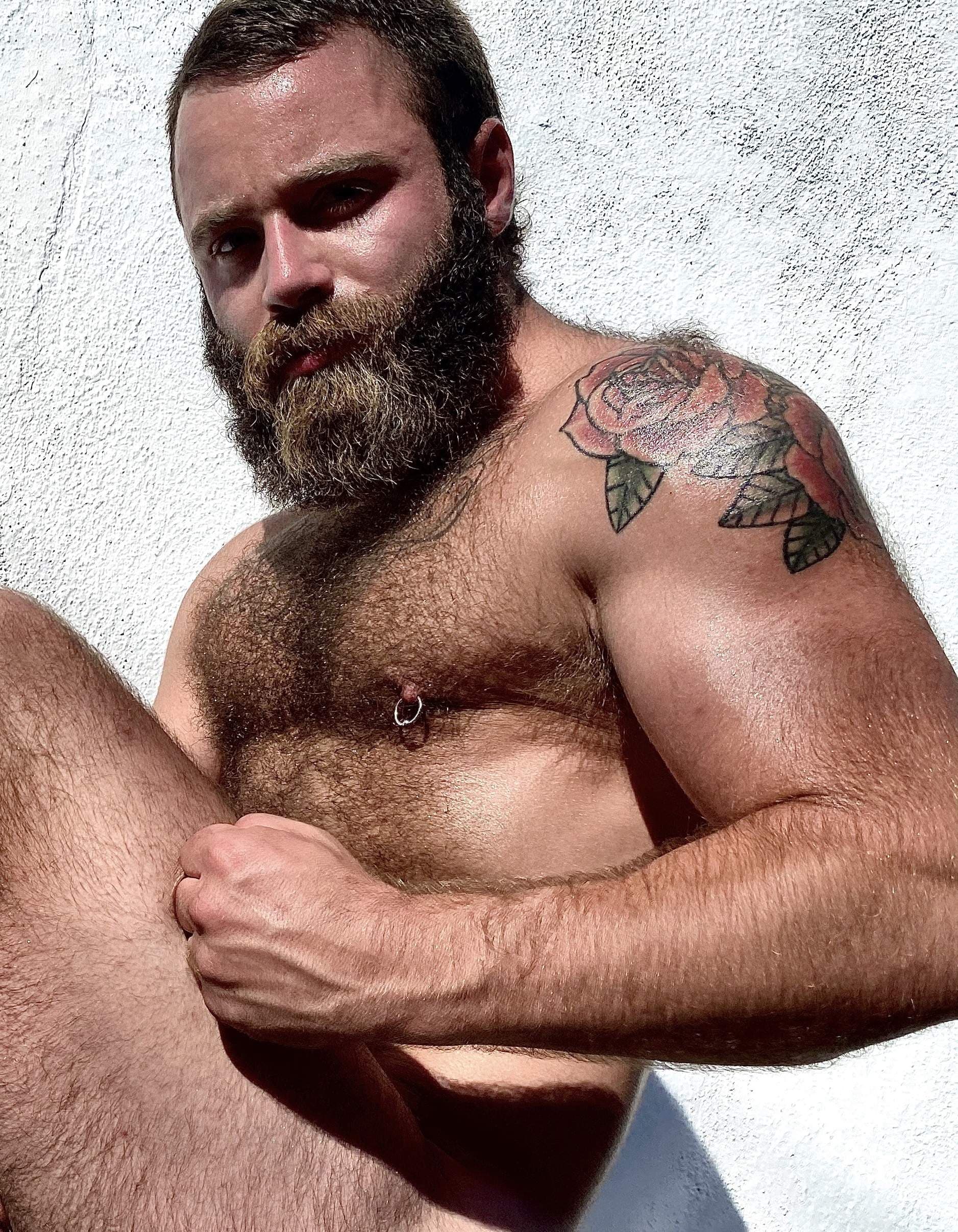 Baby Bear Muscles