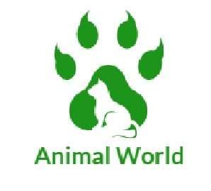 Animal World