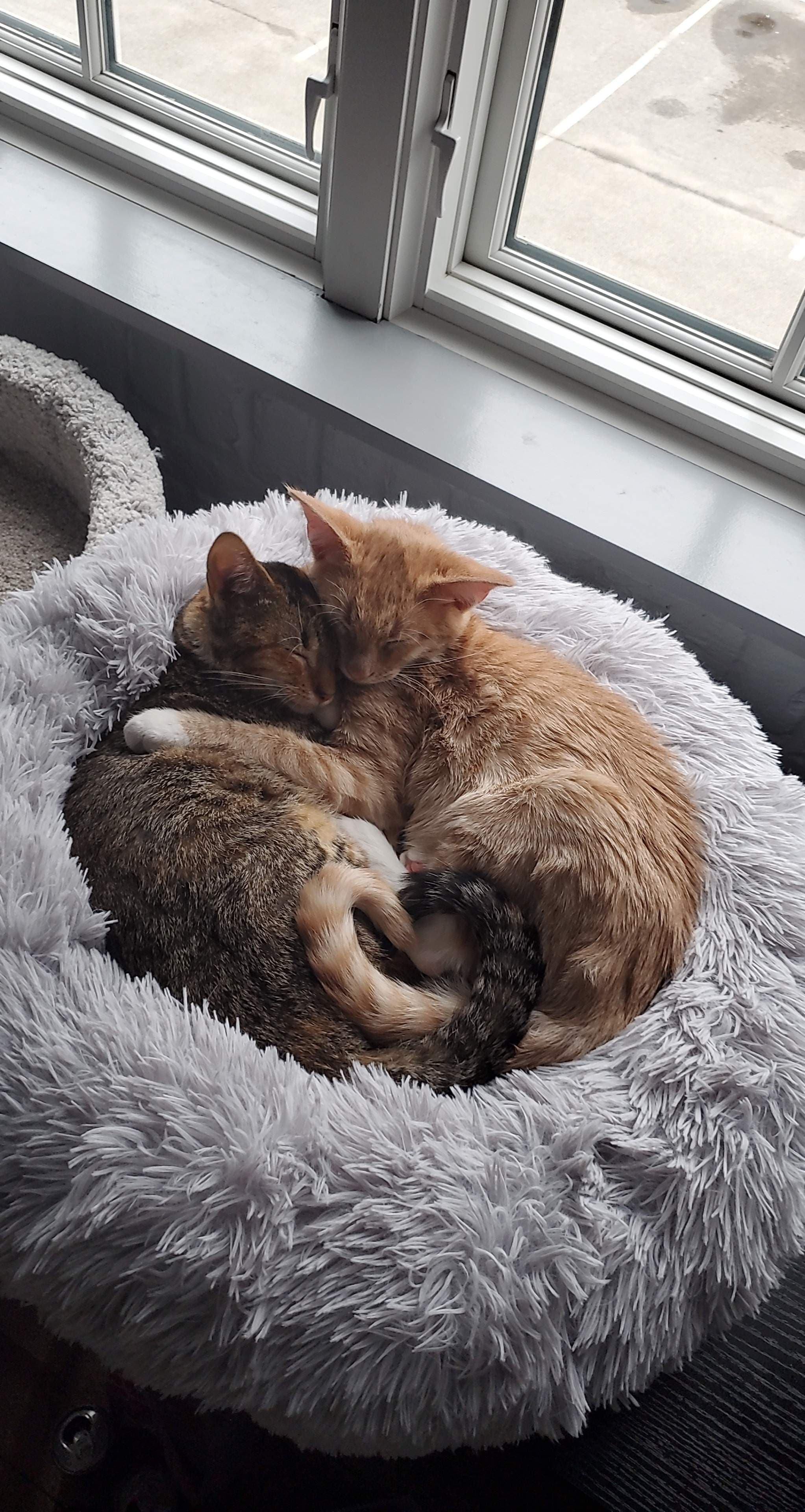 Kyle and Haleigh