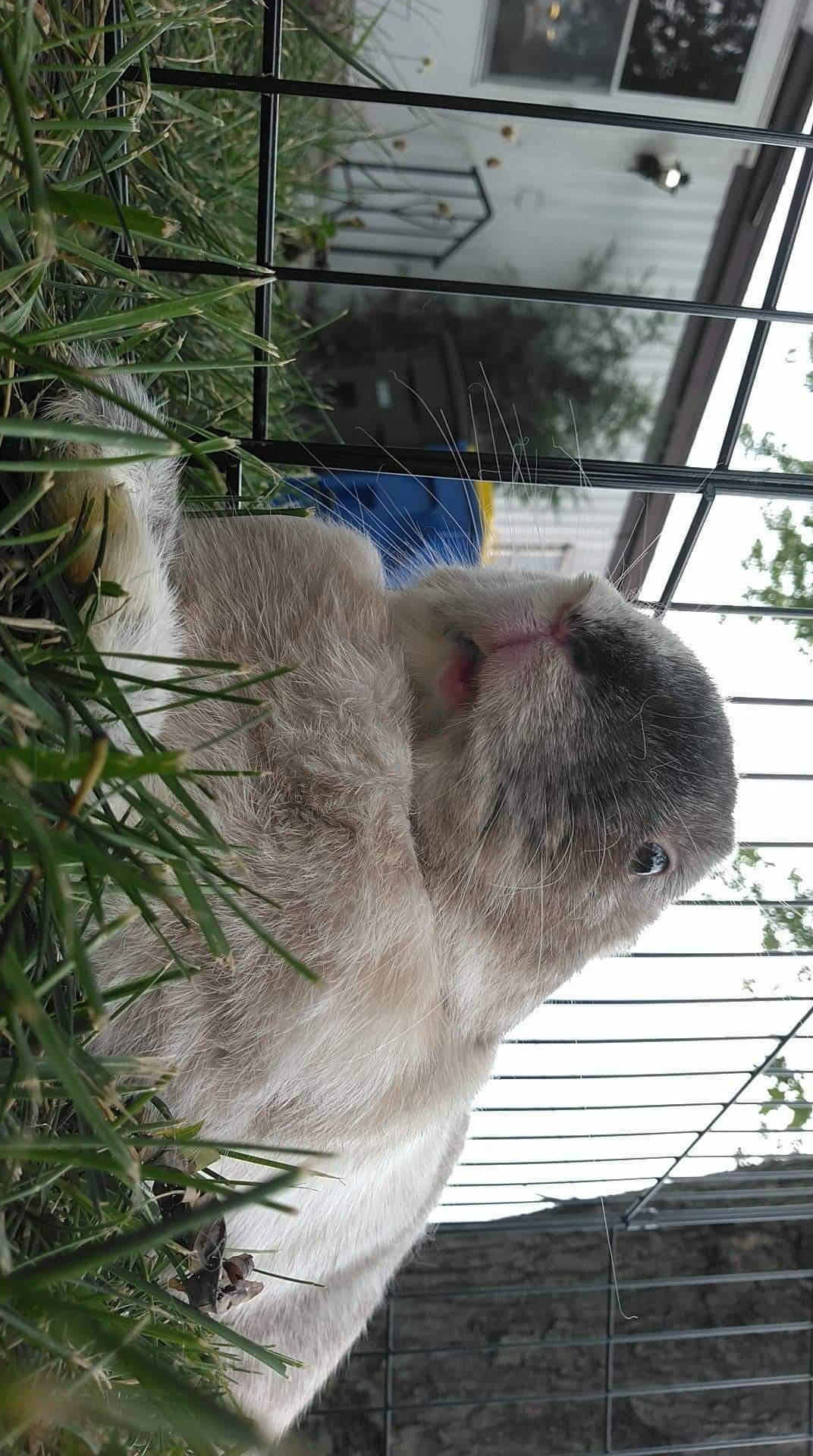 The Bun Bundle 🐇