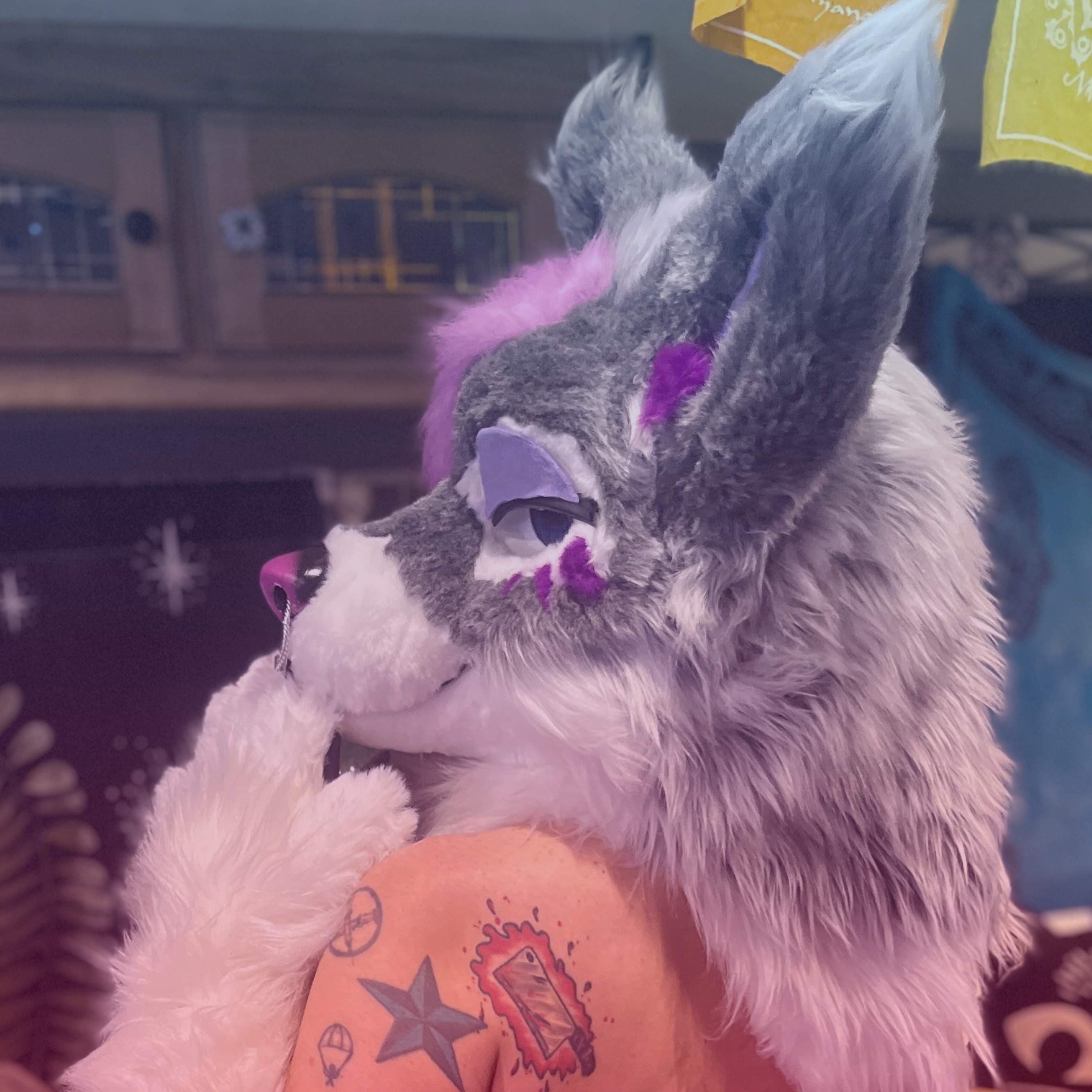 Vexx 🐾💋🤘