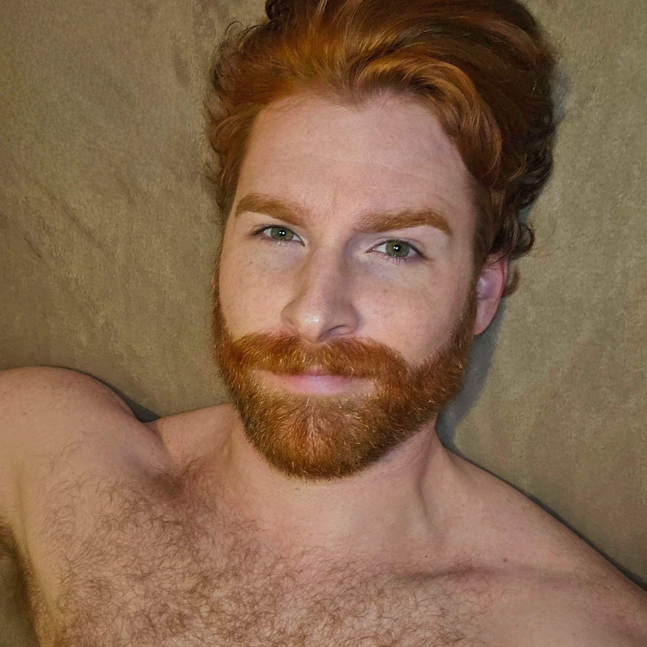 Ginger King Fox