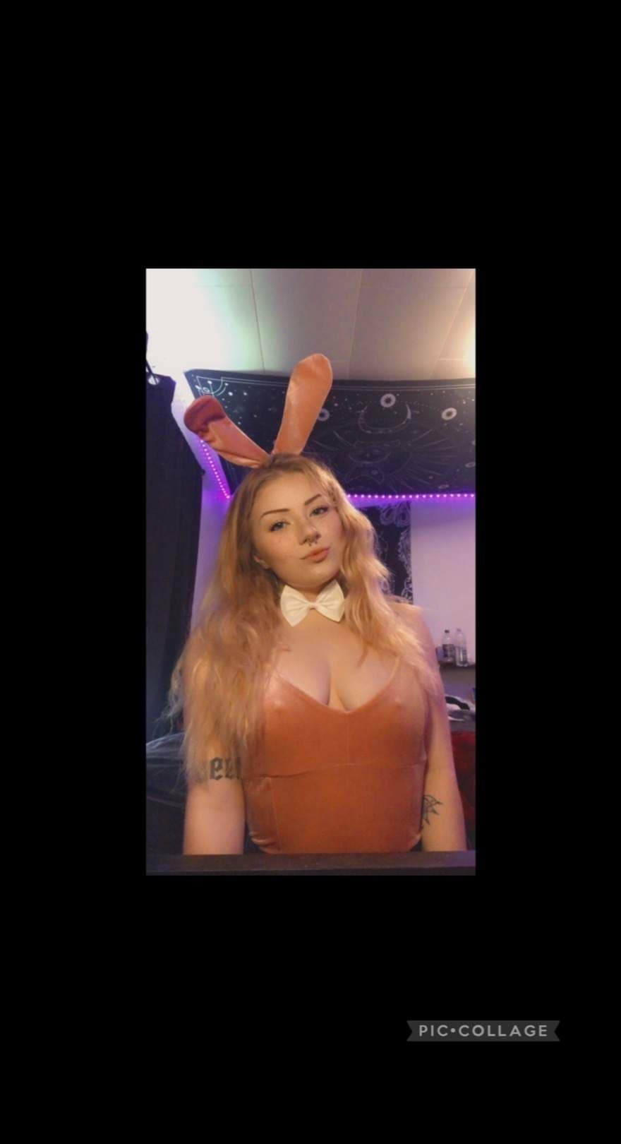 Amber Bunny