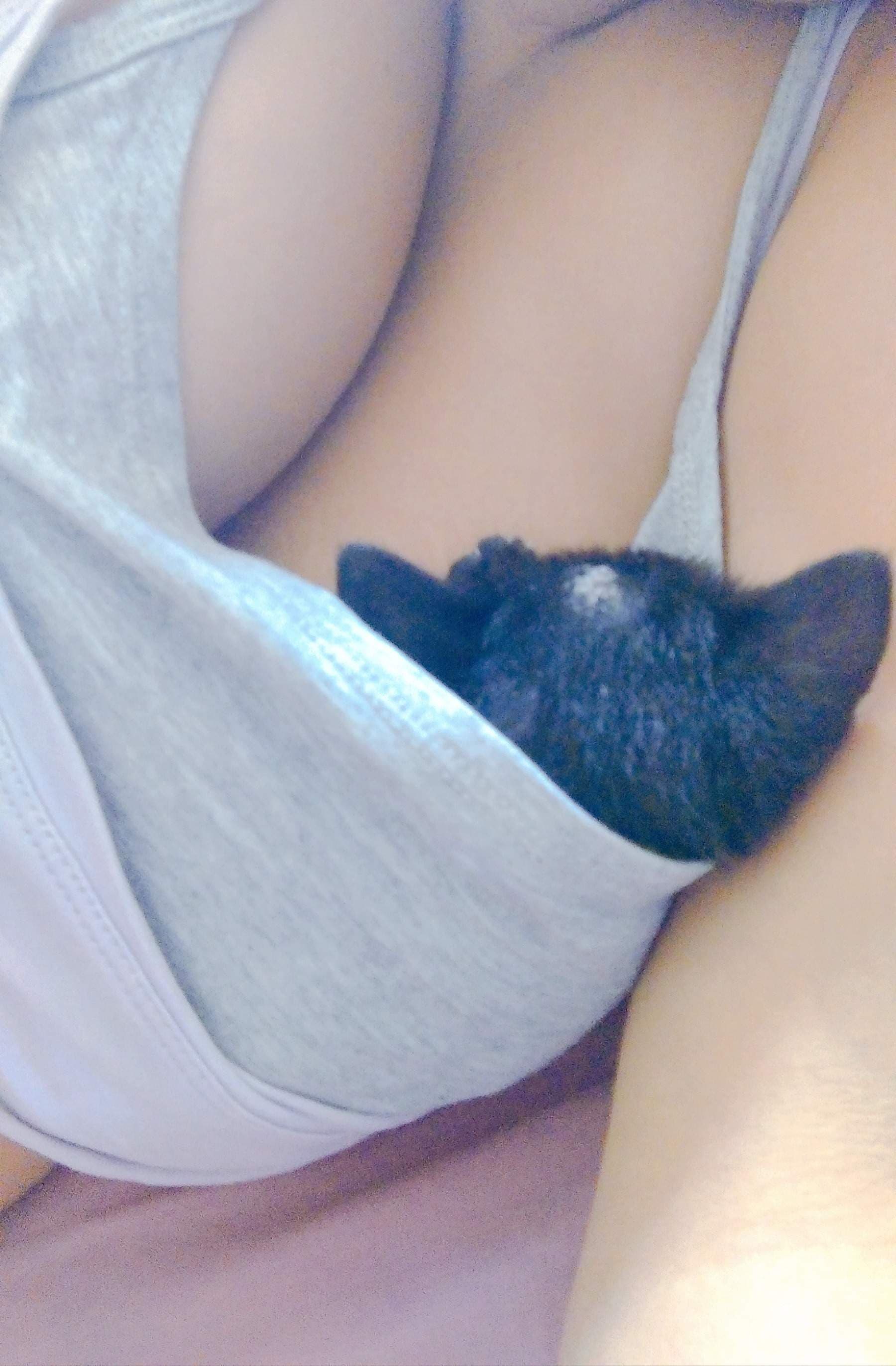 misha