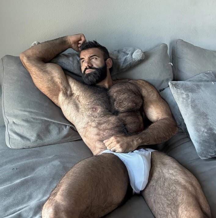 PERSIAN WOLF