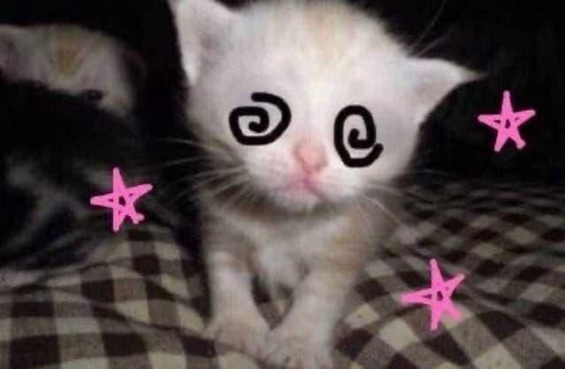 k 🖤