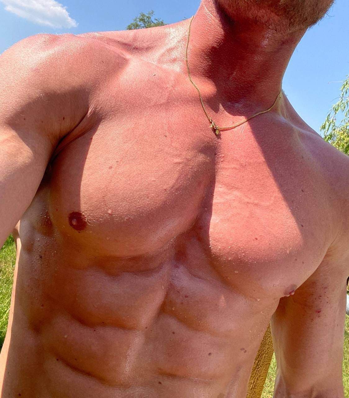 ShredXX