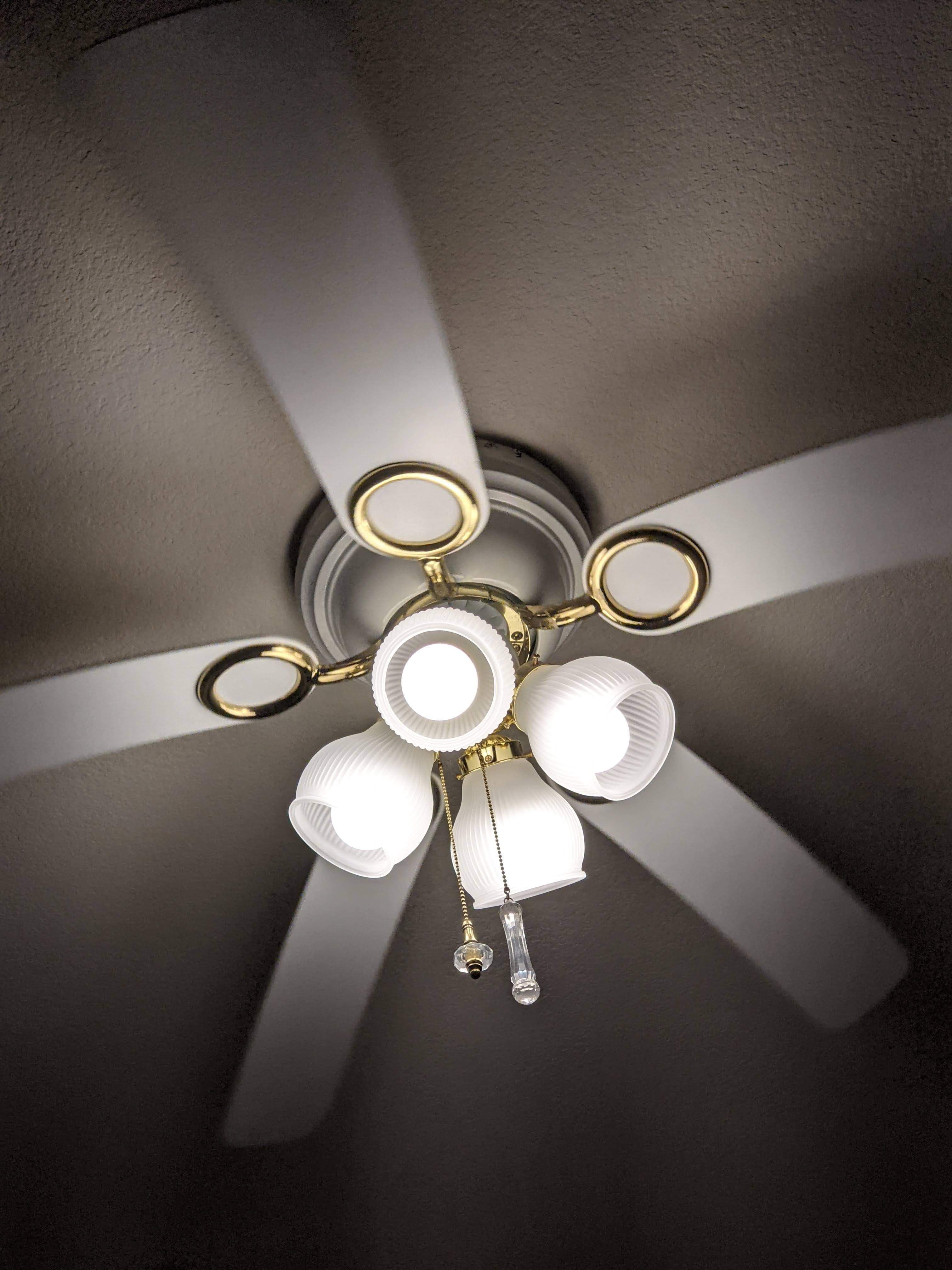 Free Fans