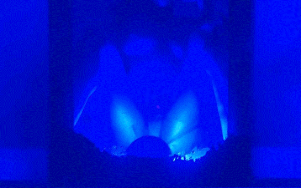 Delta D-Light 💋
