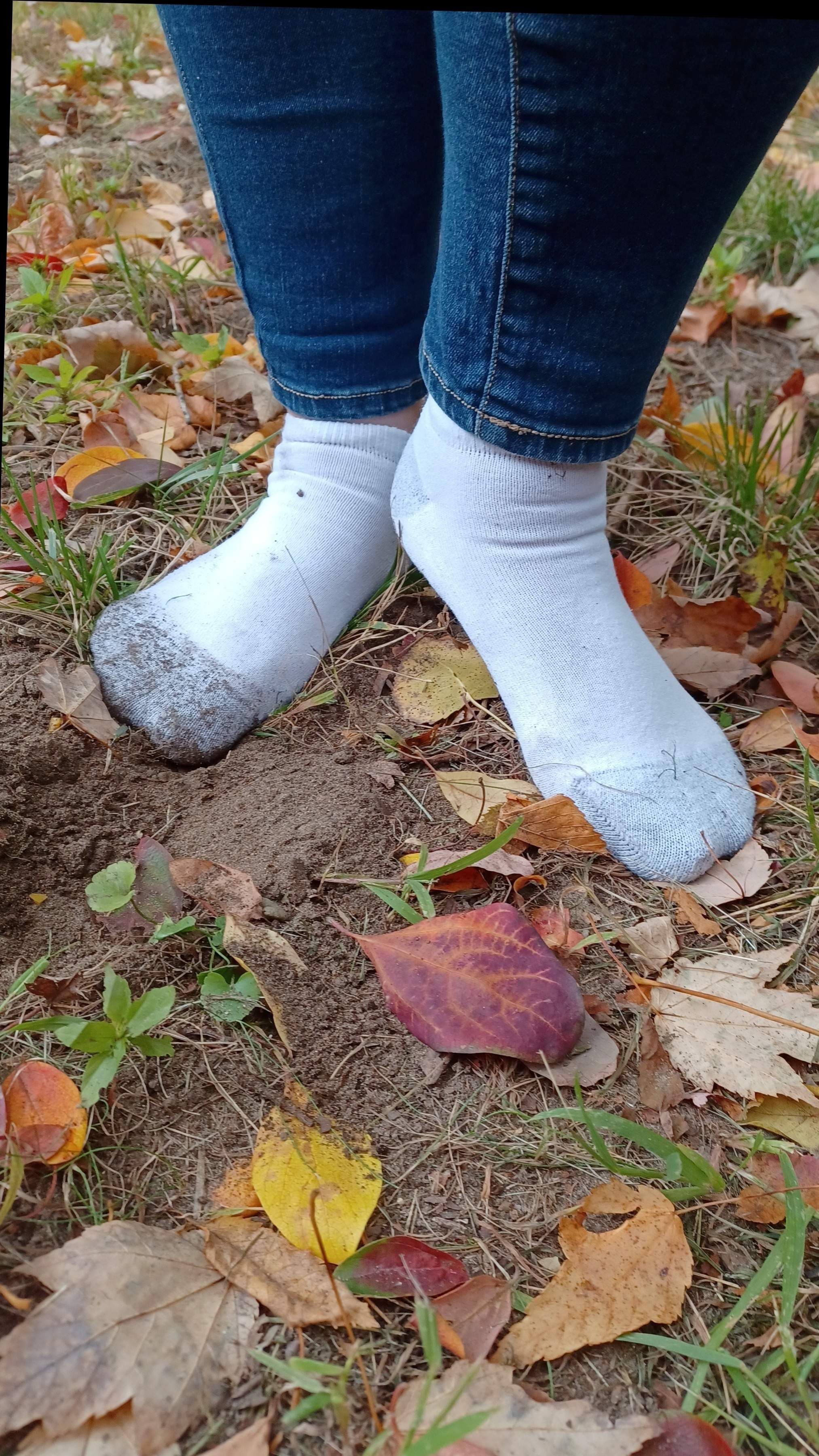 Autumn