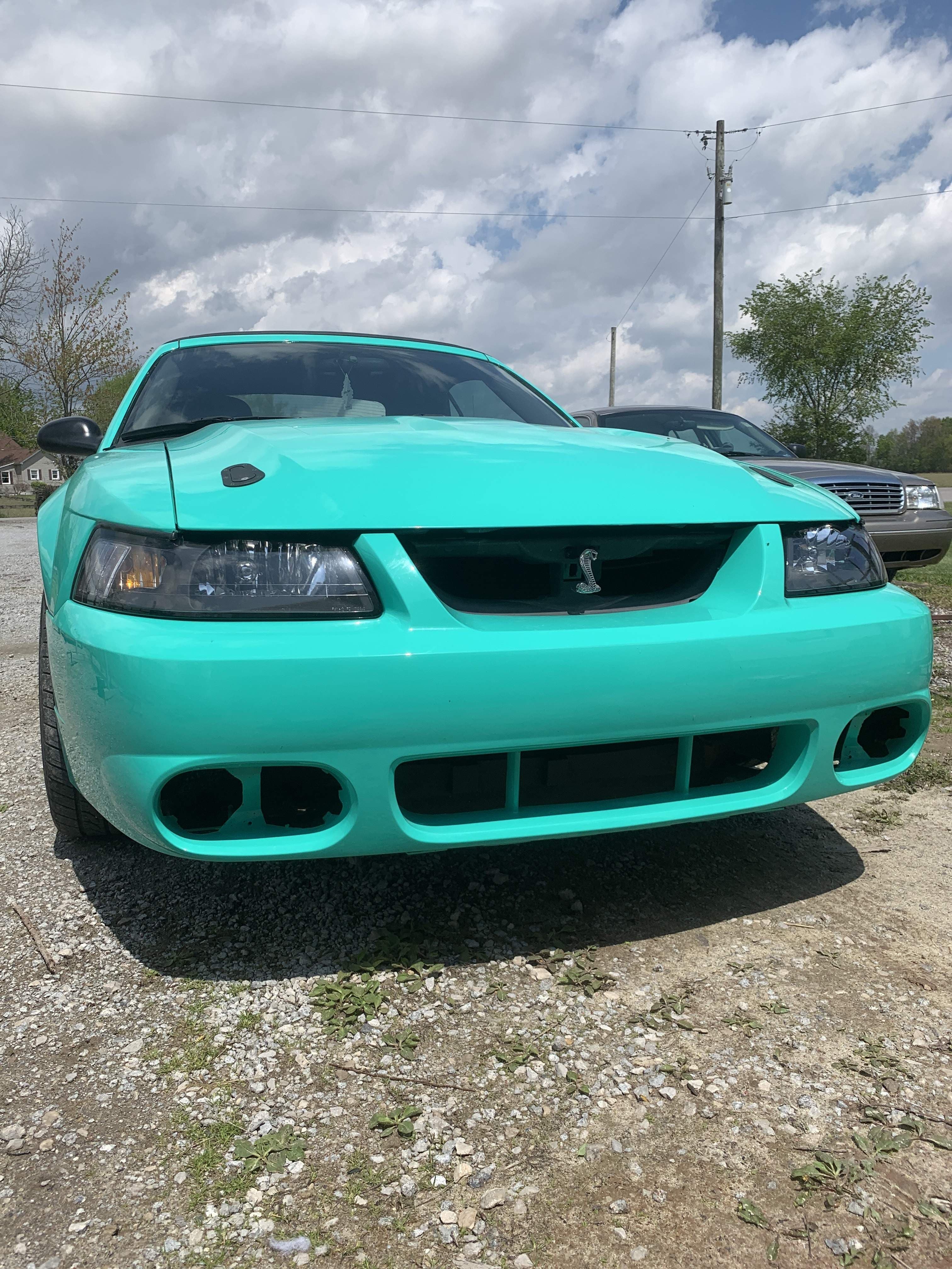 Minty Fresh