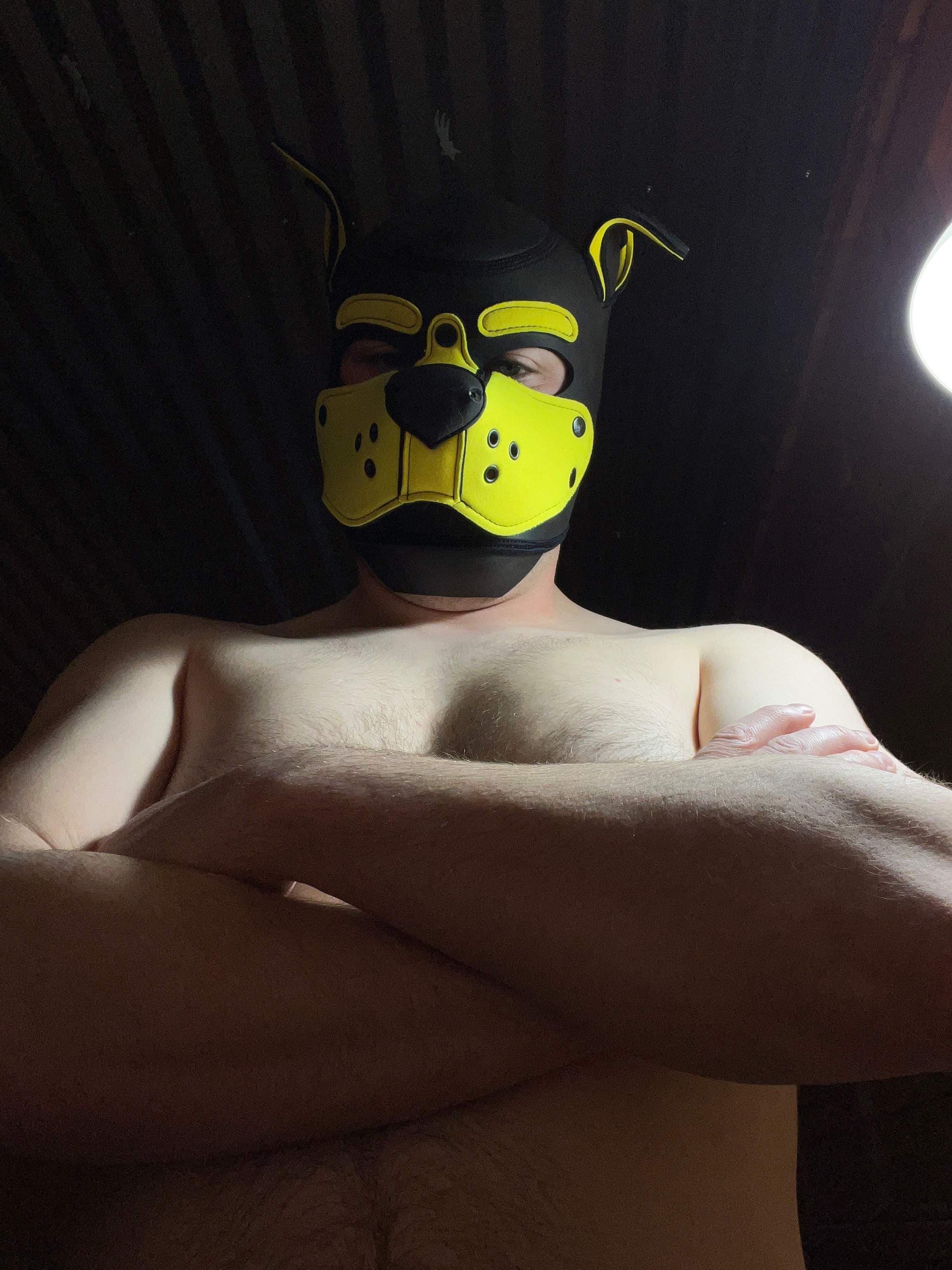 PupJaco