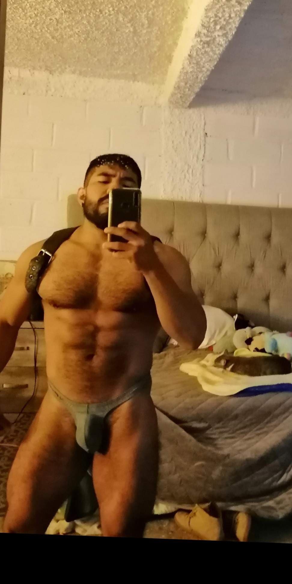 Manu wolf